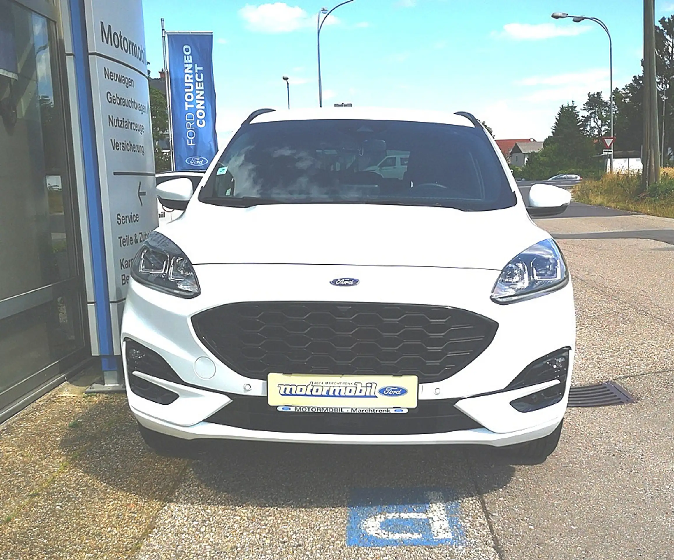 Ford - Kuga