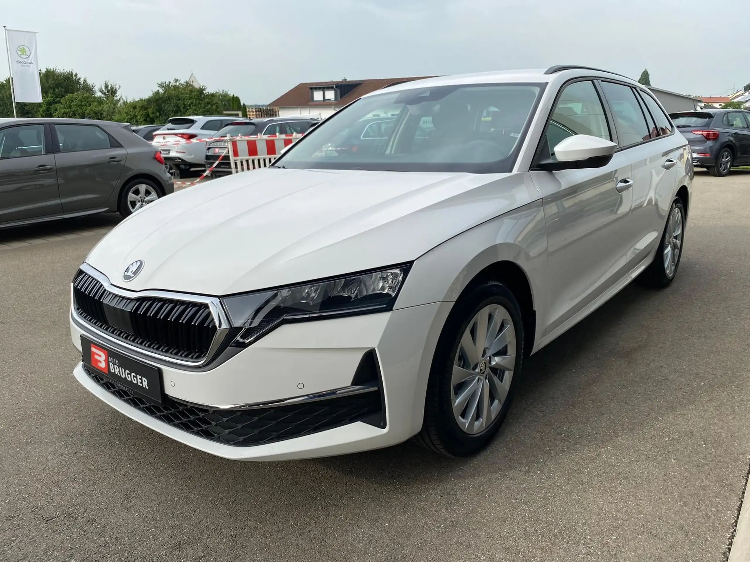 Skoda - Octavia