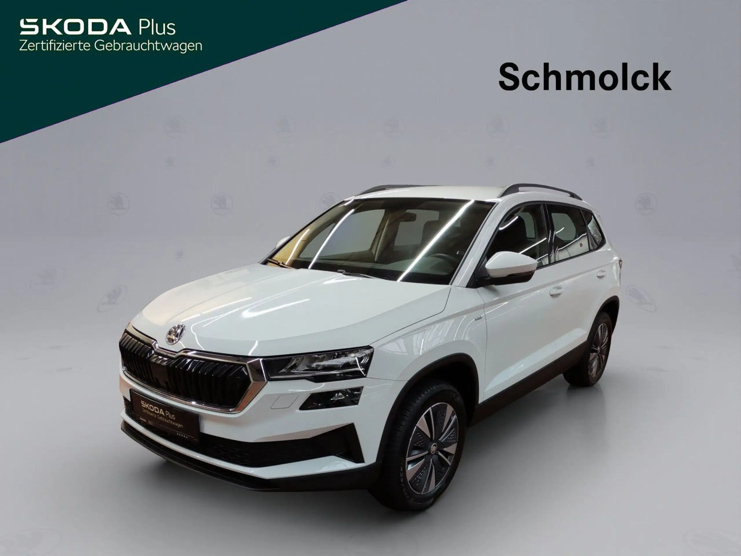 Skoda Karoq 2024