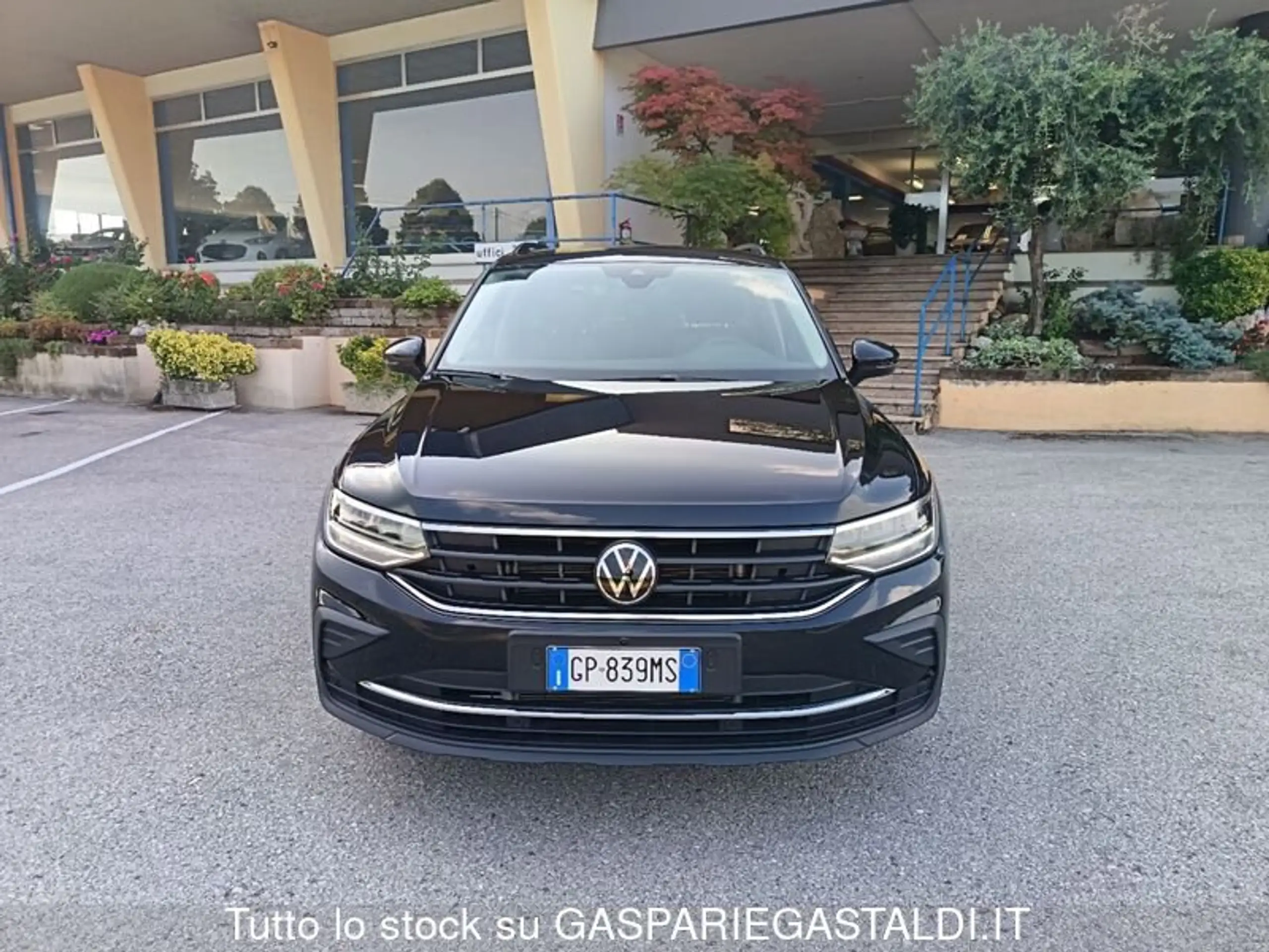 Volkswagen - Tiguan