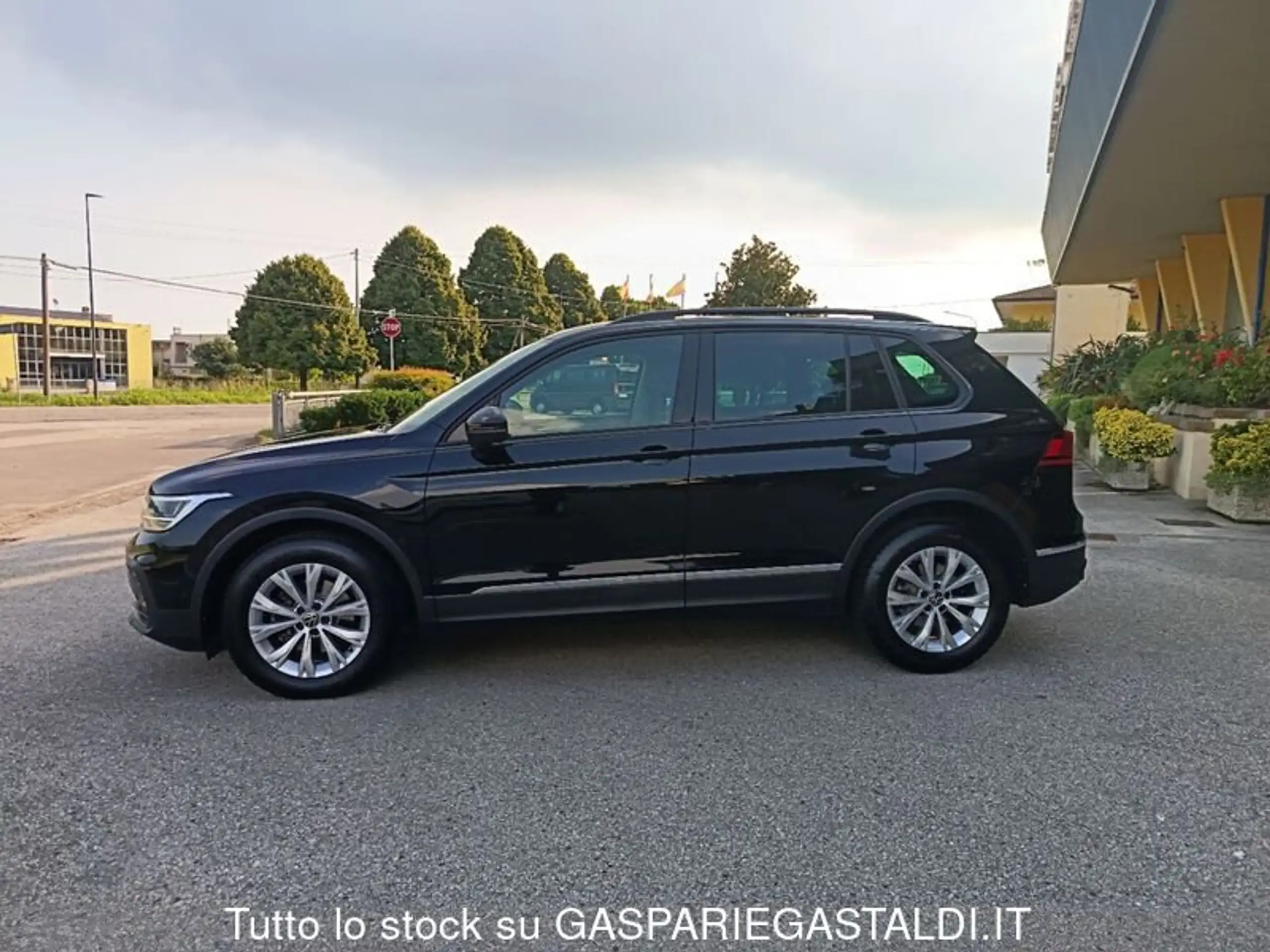 Volkswagen - Tiguan