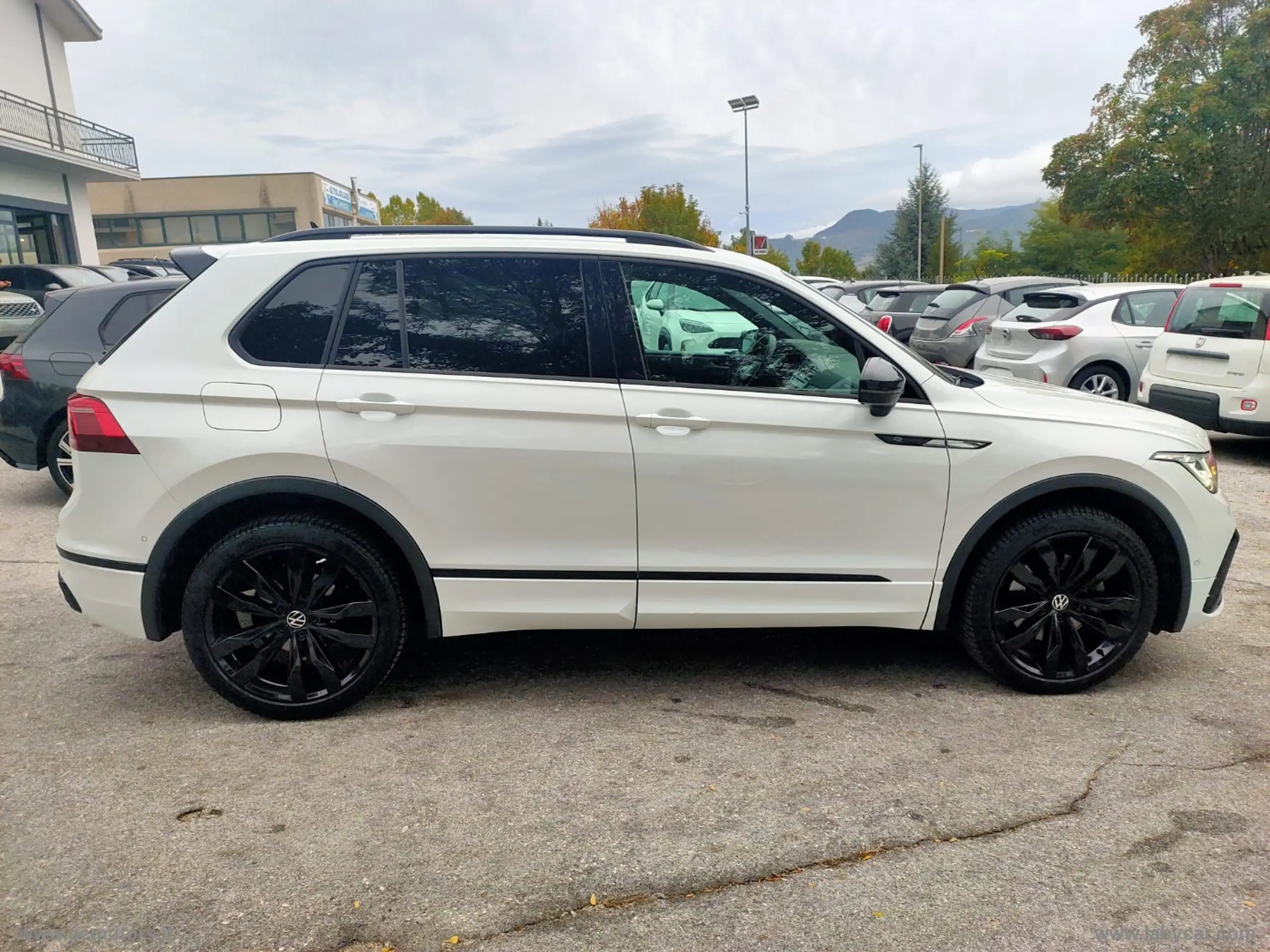 Volkswagen - Tiguan