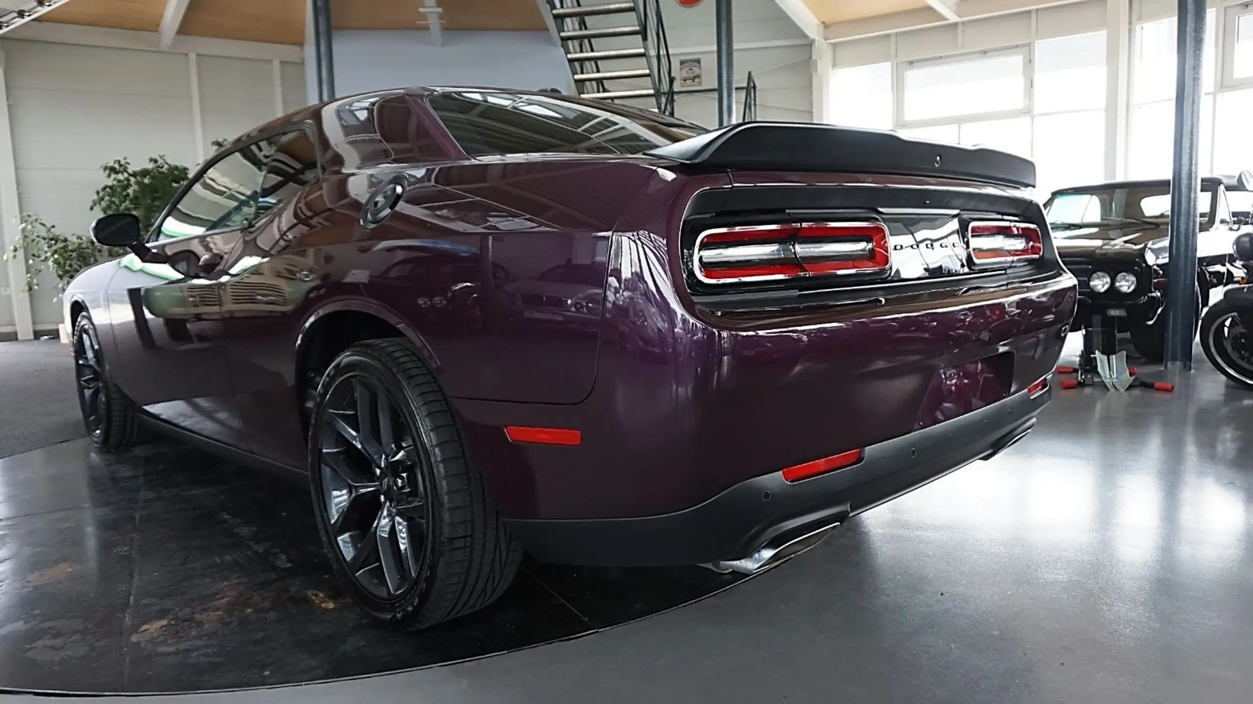 Dodge - Challenger