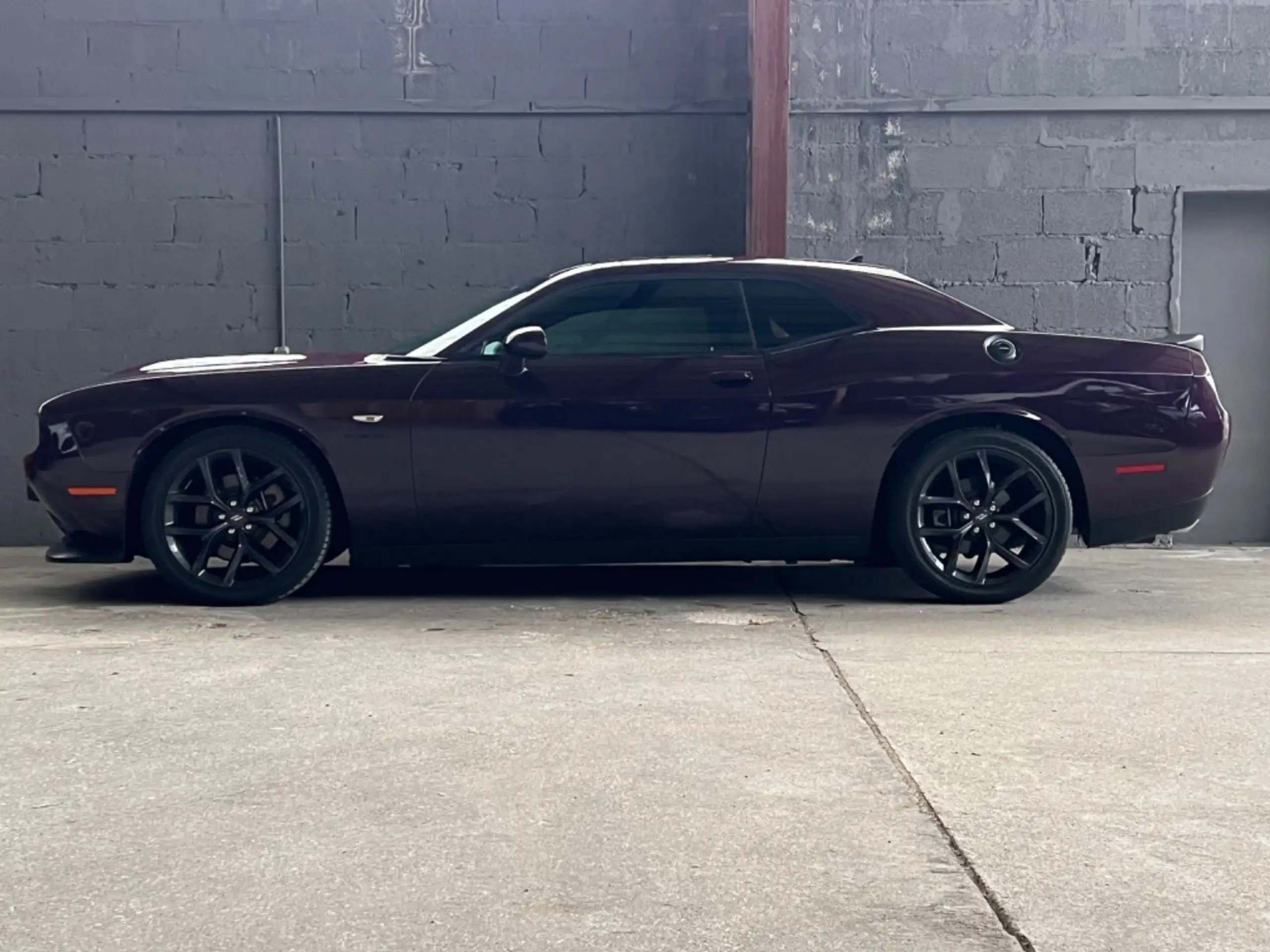 Dodge - Challenger