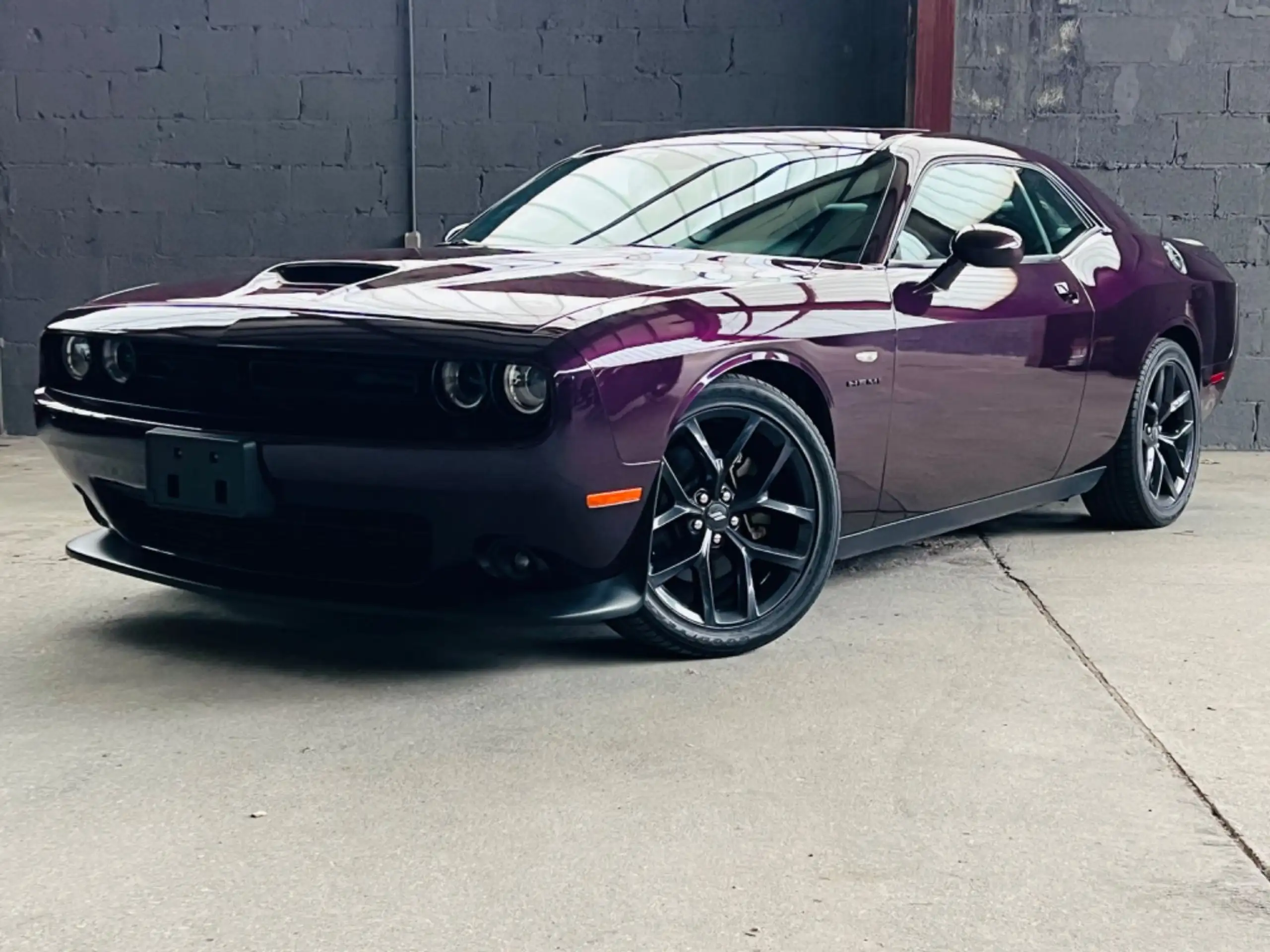 Dodge - Challenger