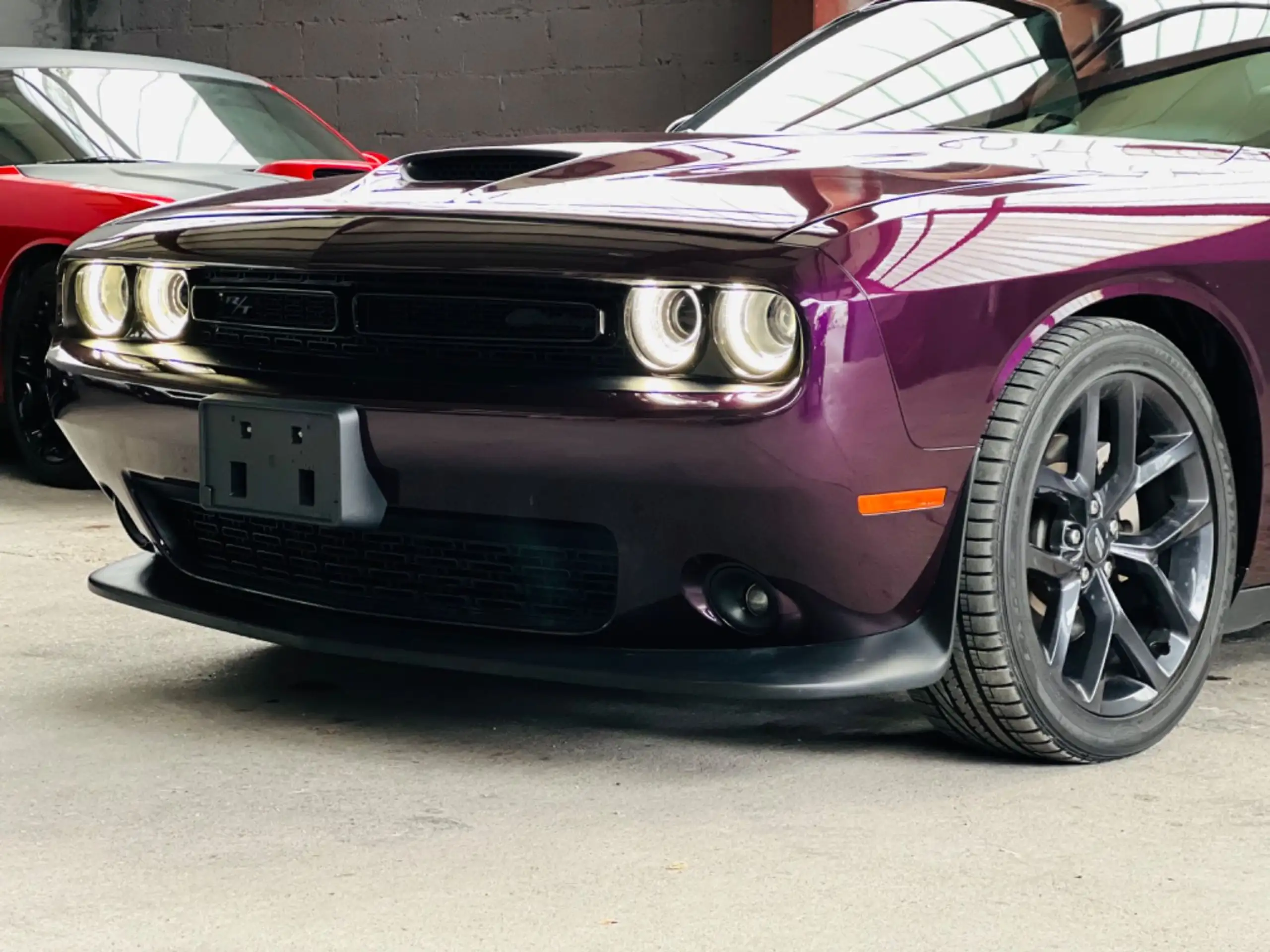 Dodge - Challenger