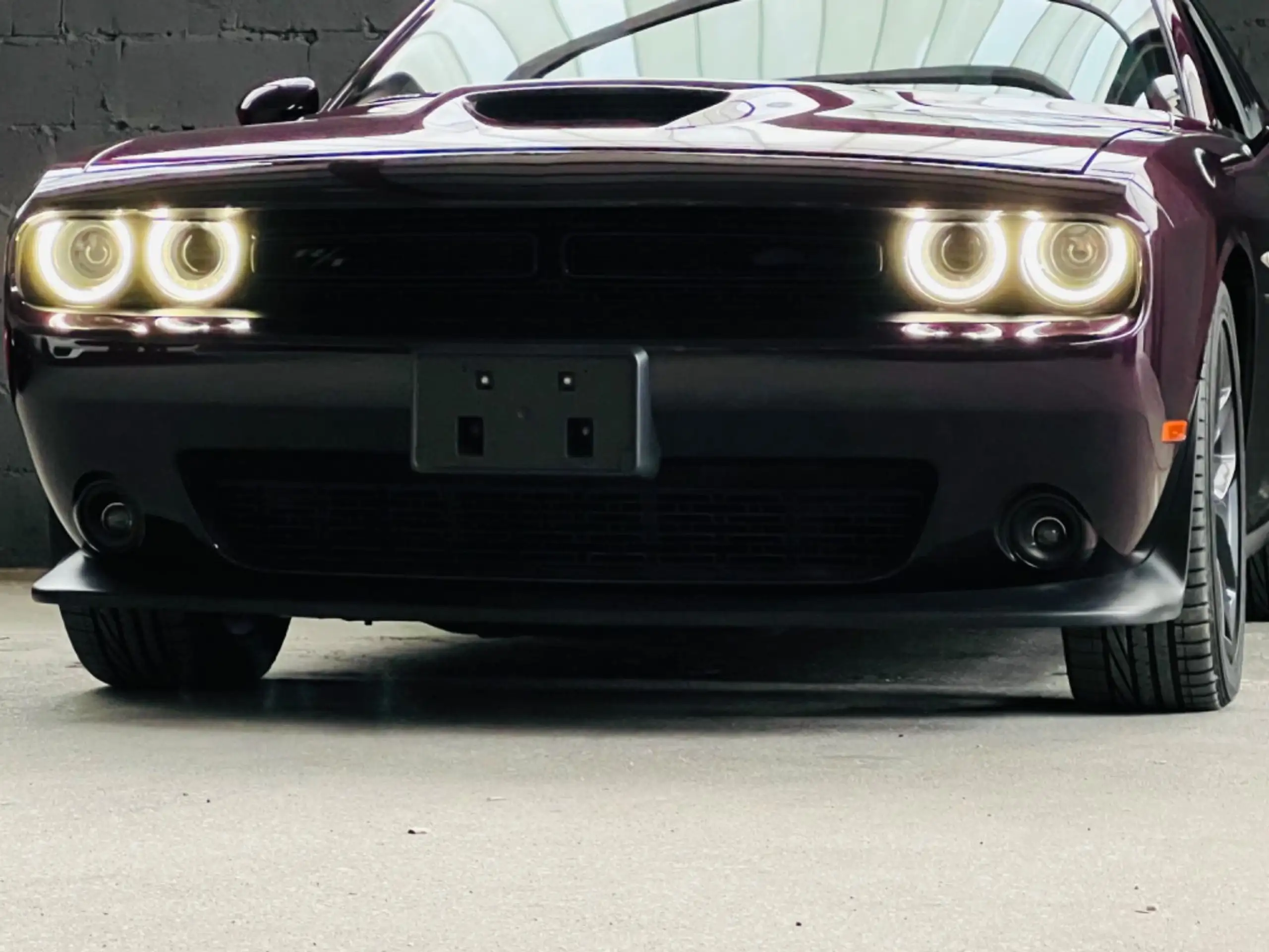 Dodge - Challenger