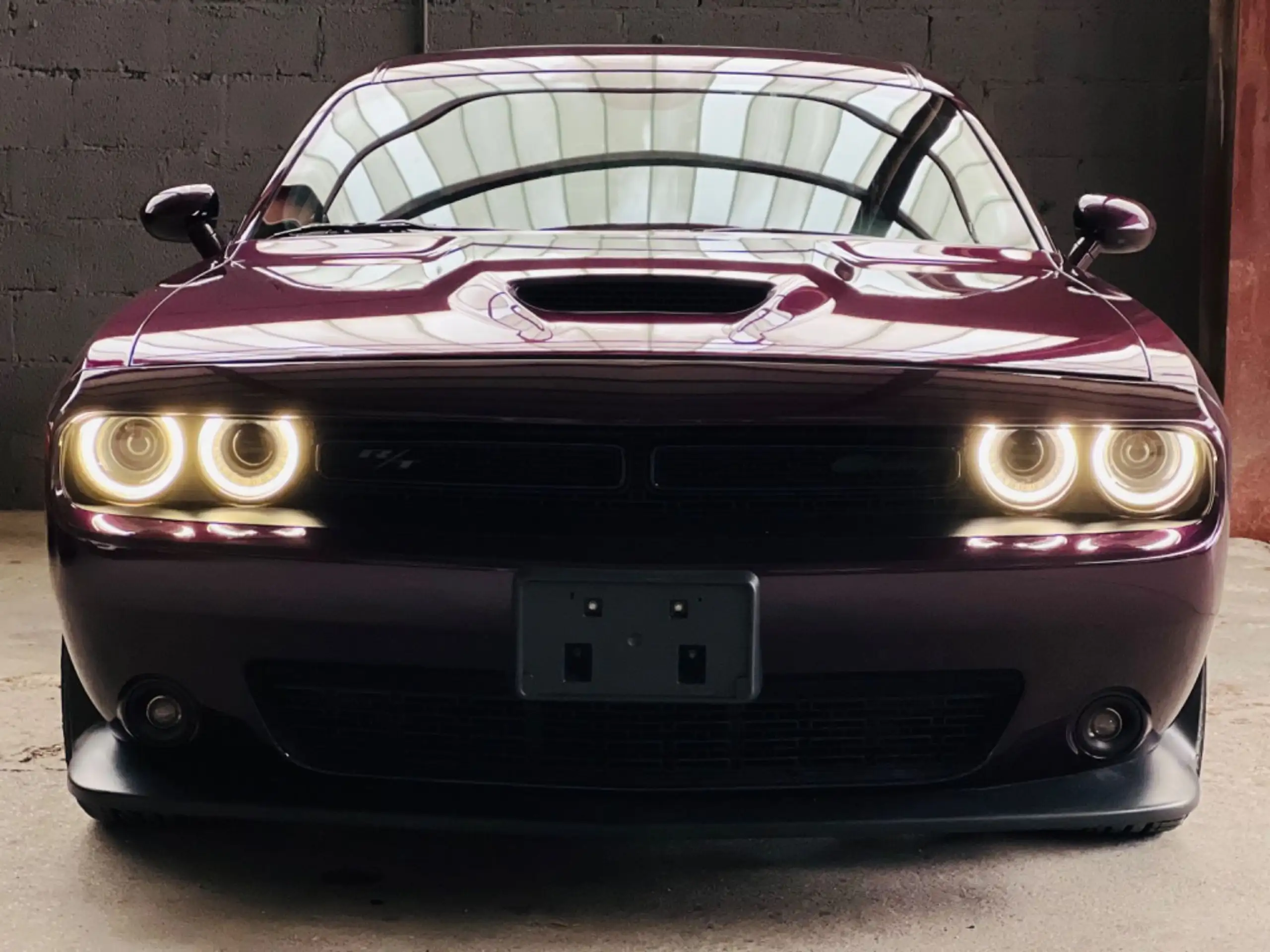 Dodge - Challenger