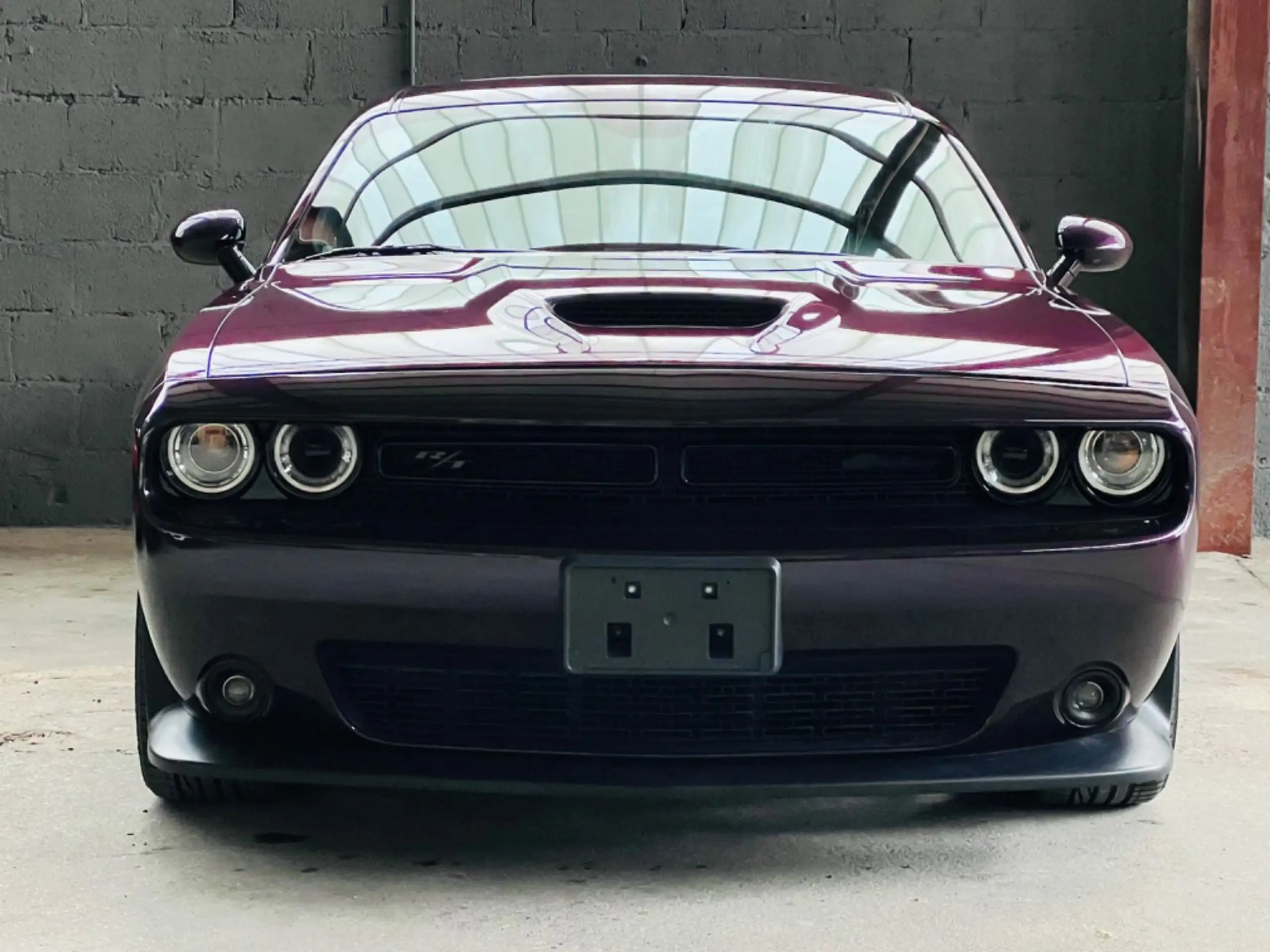 Dodge - Challenger