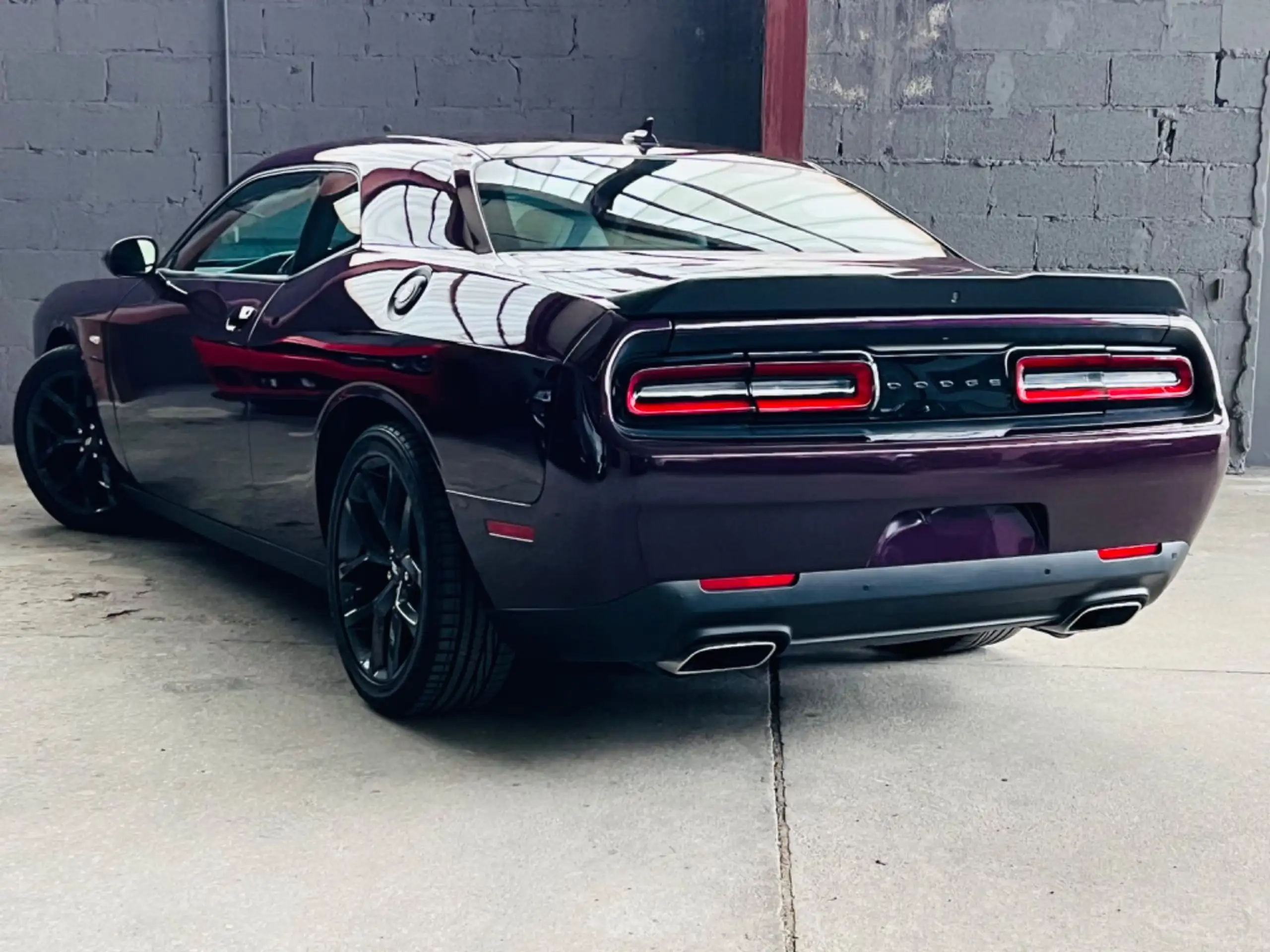 Dodge - Challenger