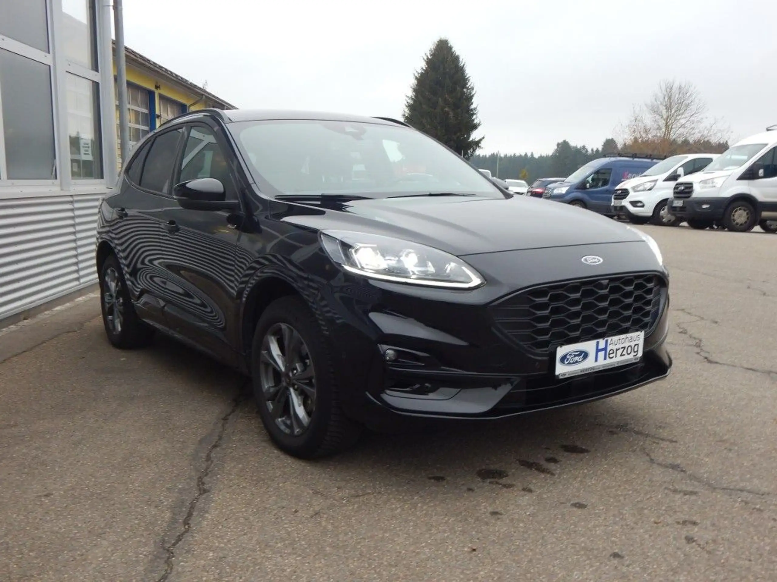 Ford - Kuga