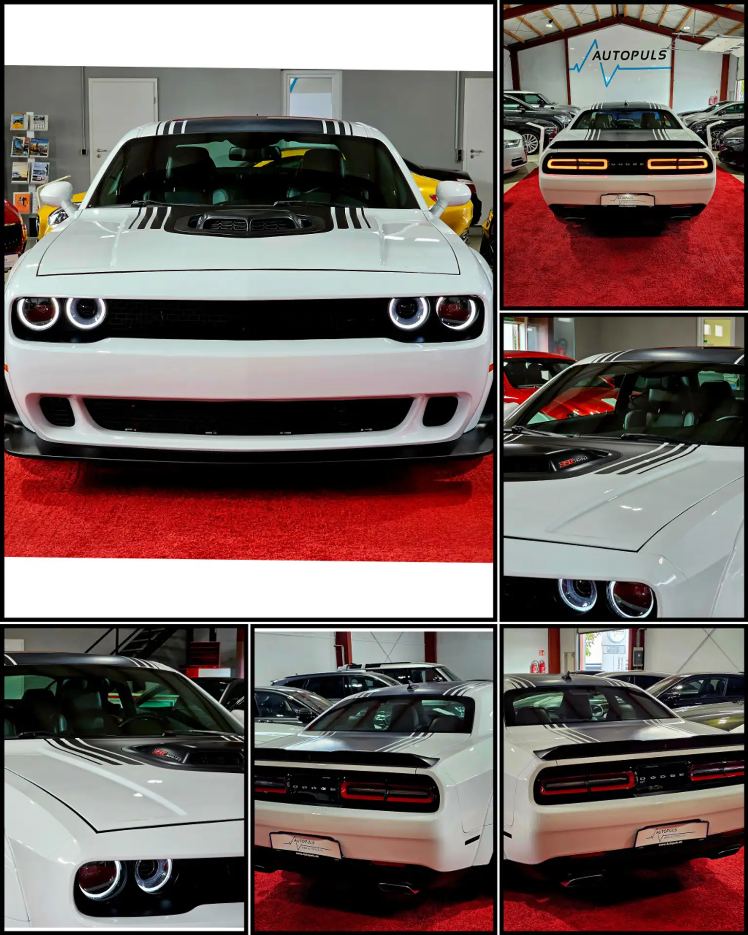 Dodge - Challenger