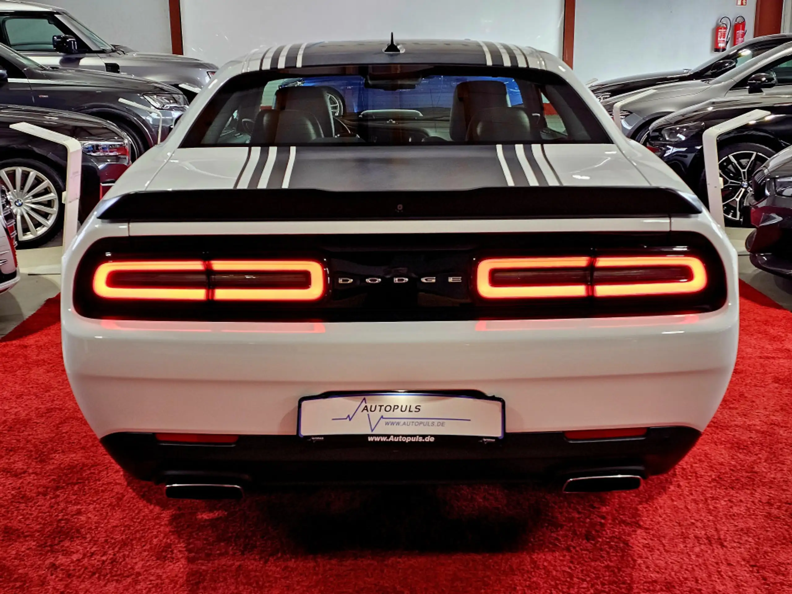 Dodge - Challenger