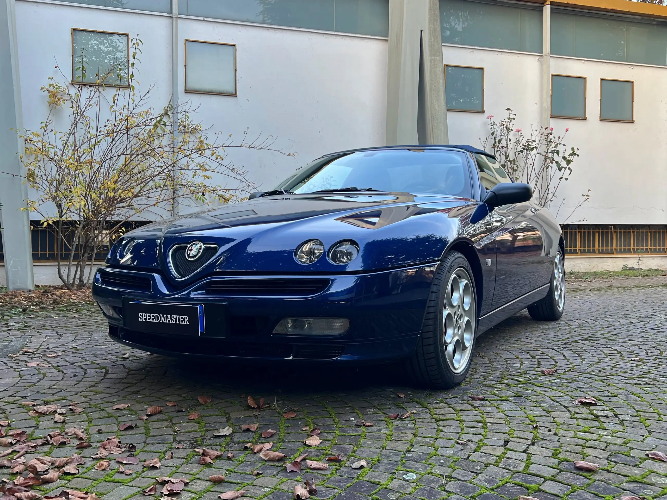 Alfa Romeo - Spider