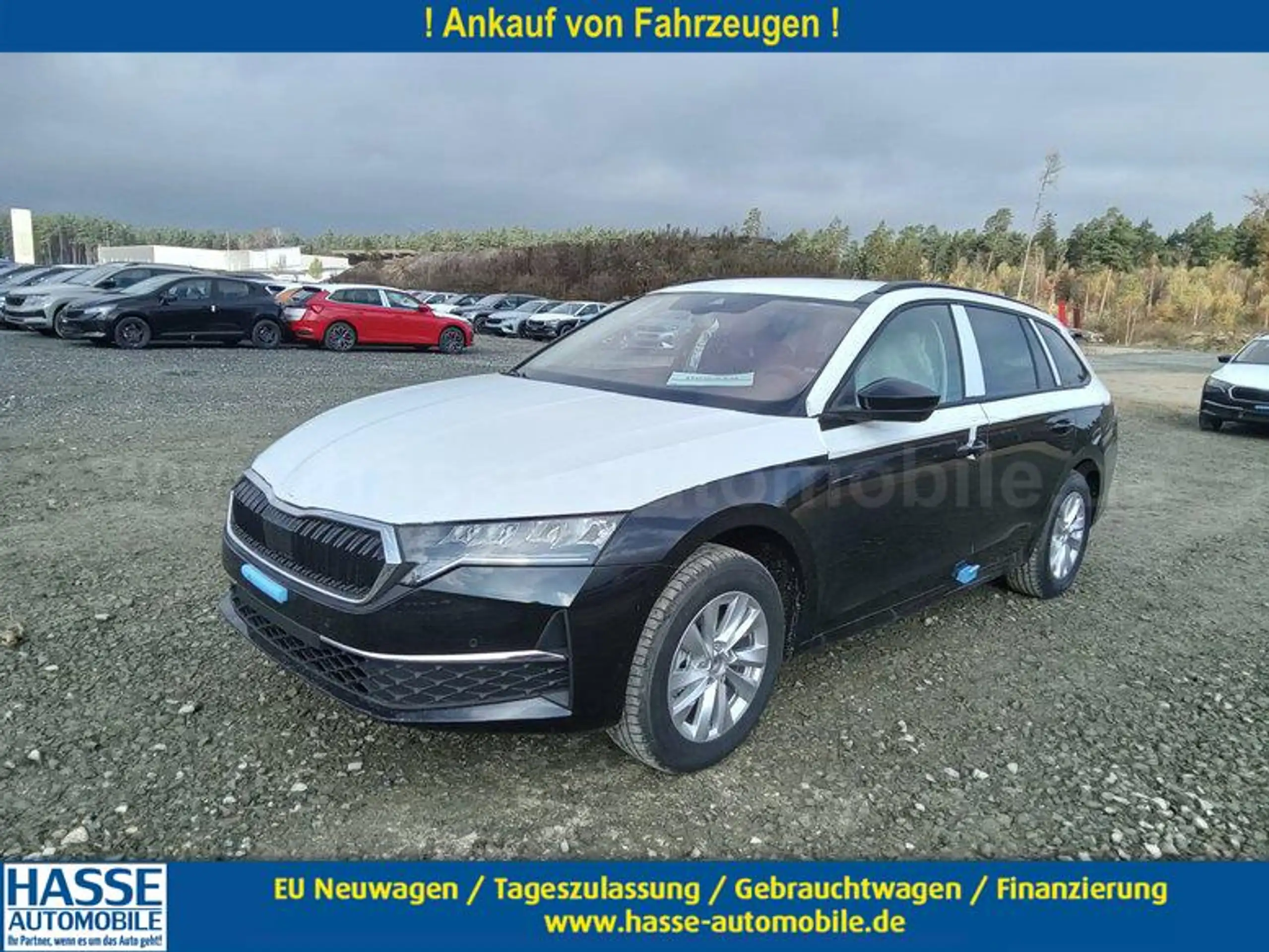 Skoda - Octavia