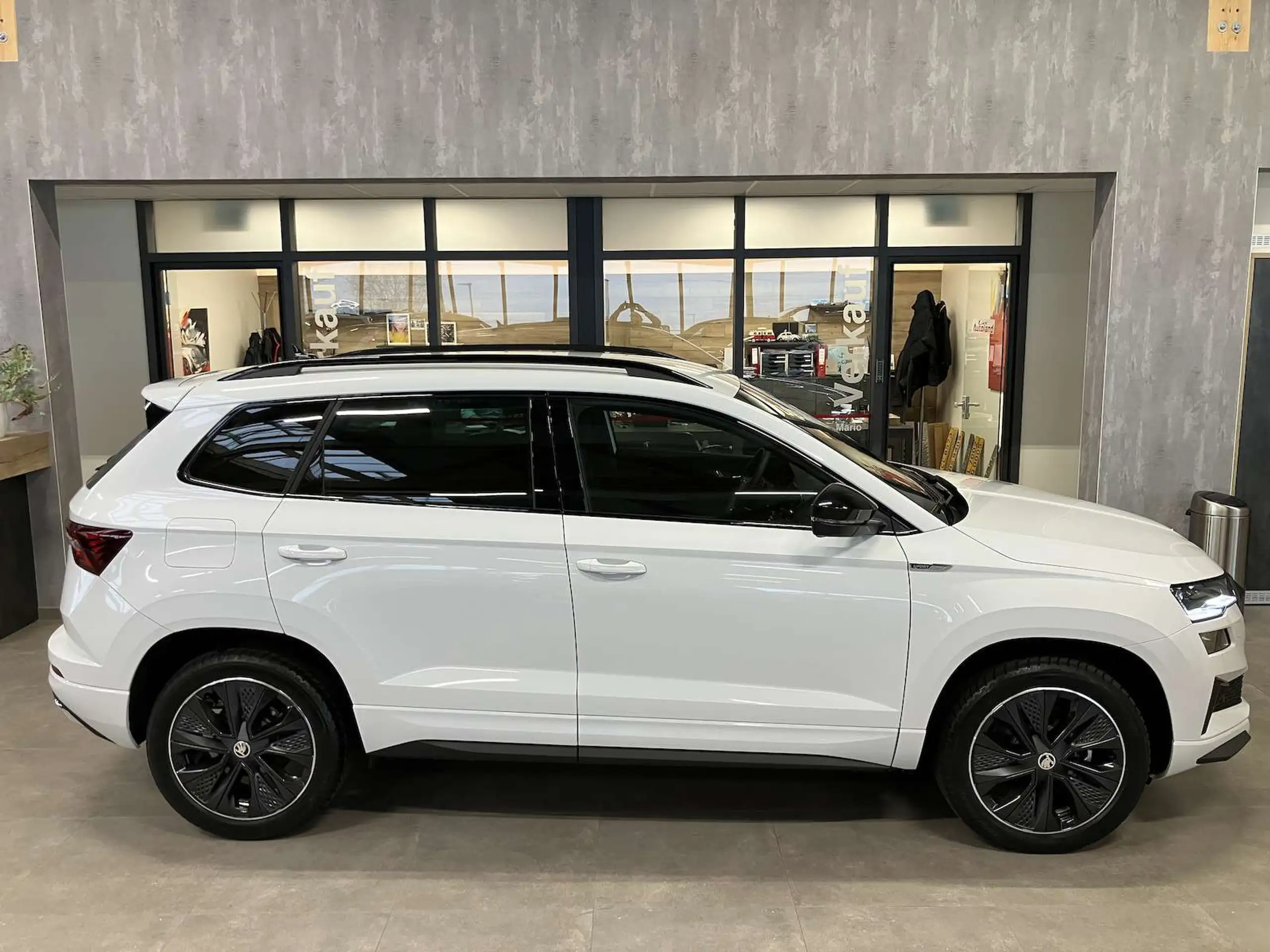 Skoda - Karoq