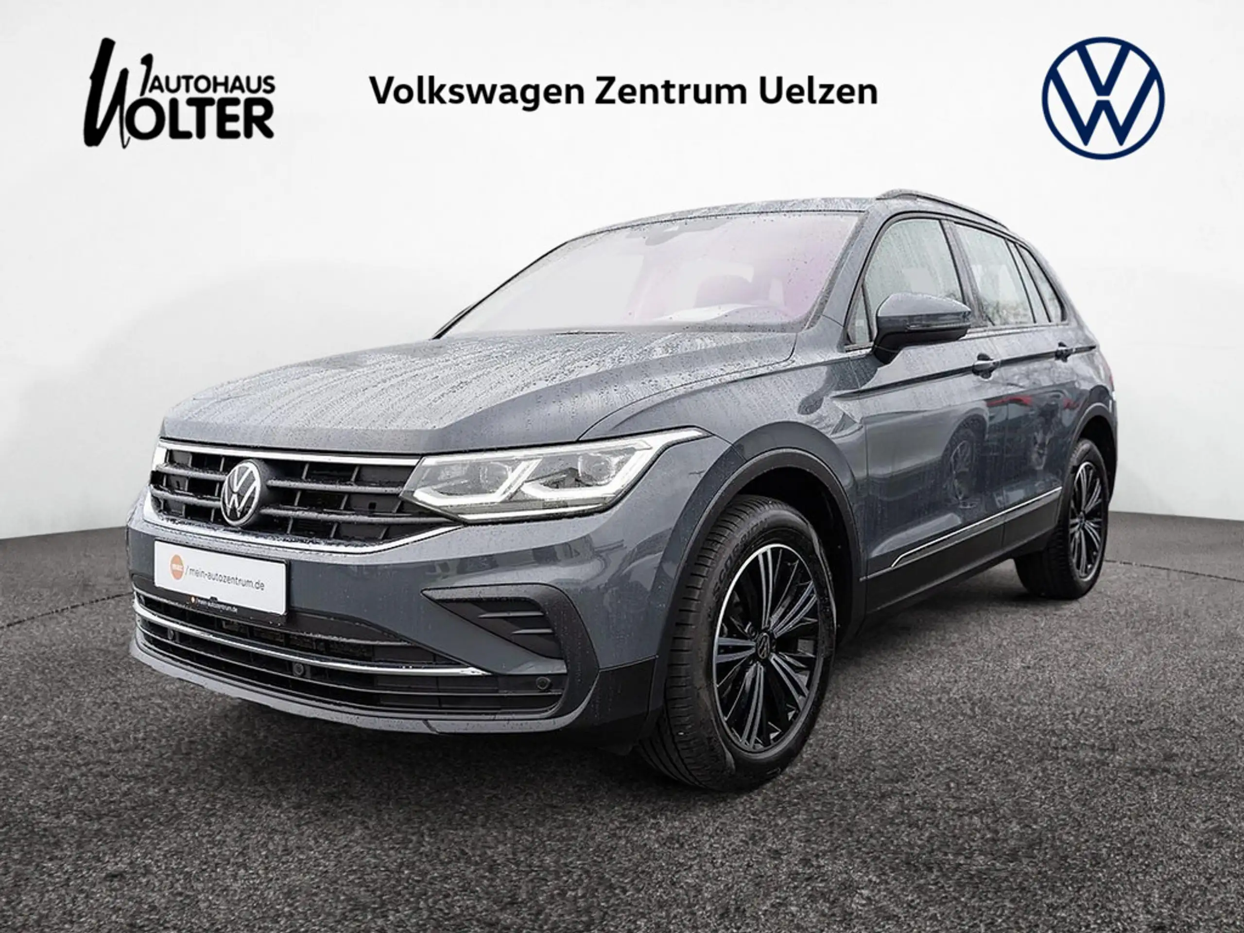 Volkswagen - Tiguan