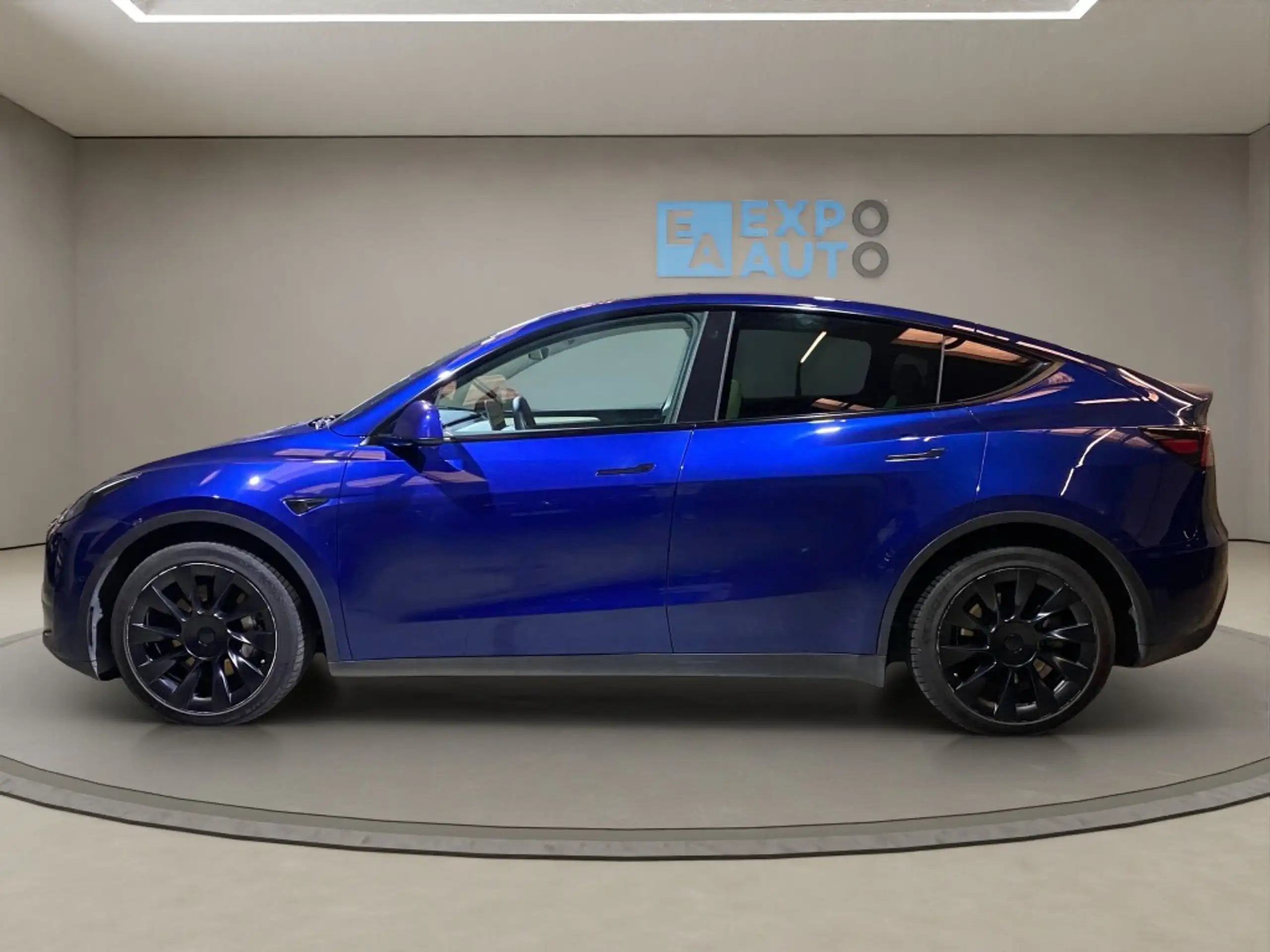 Tesla - Model Y