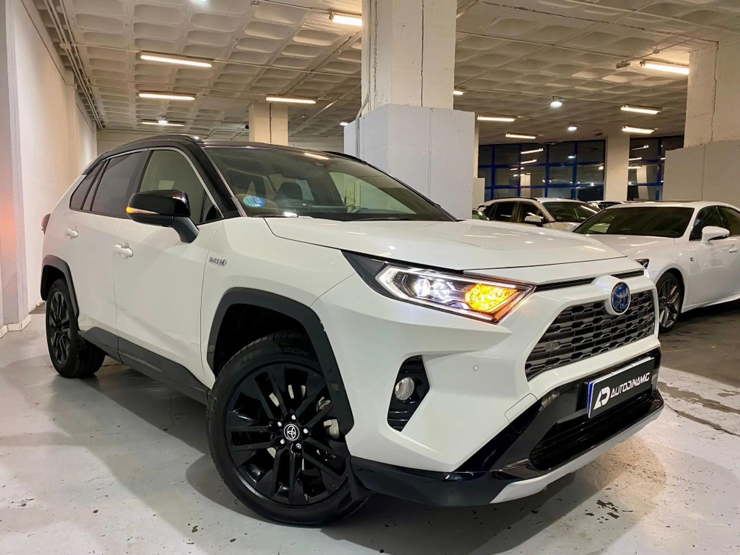 Toyota - RAV 4