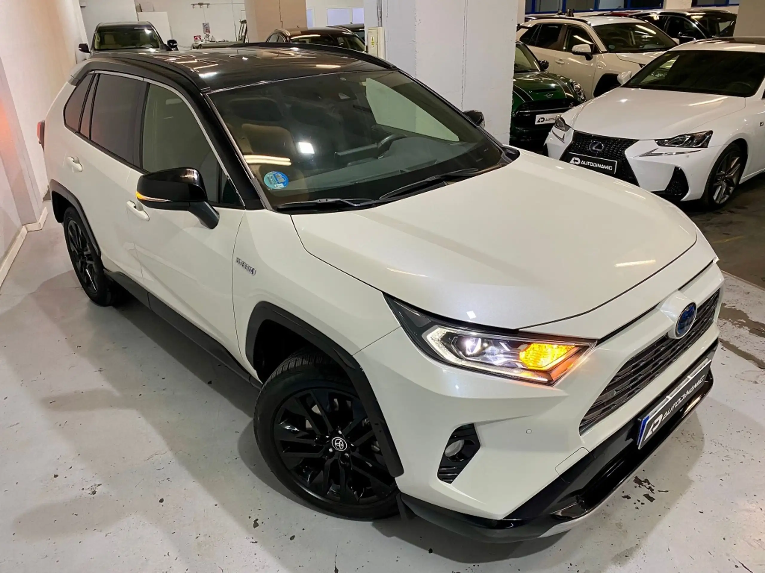 Toyota - RAV 4