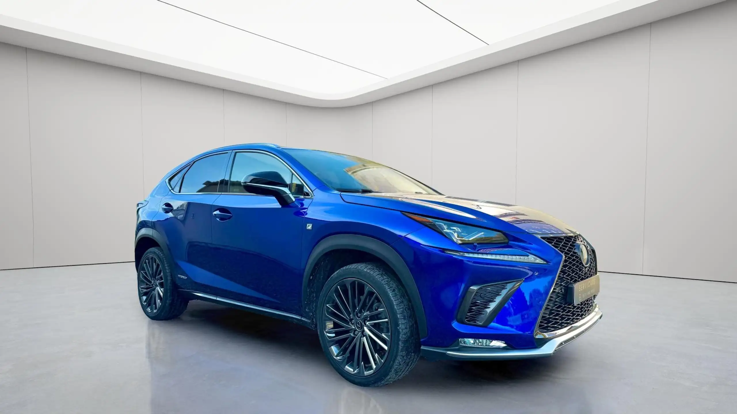 Lexus - NX 300h