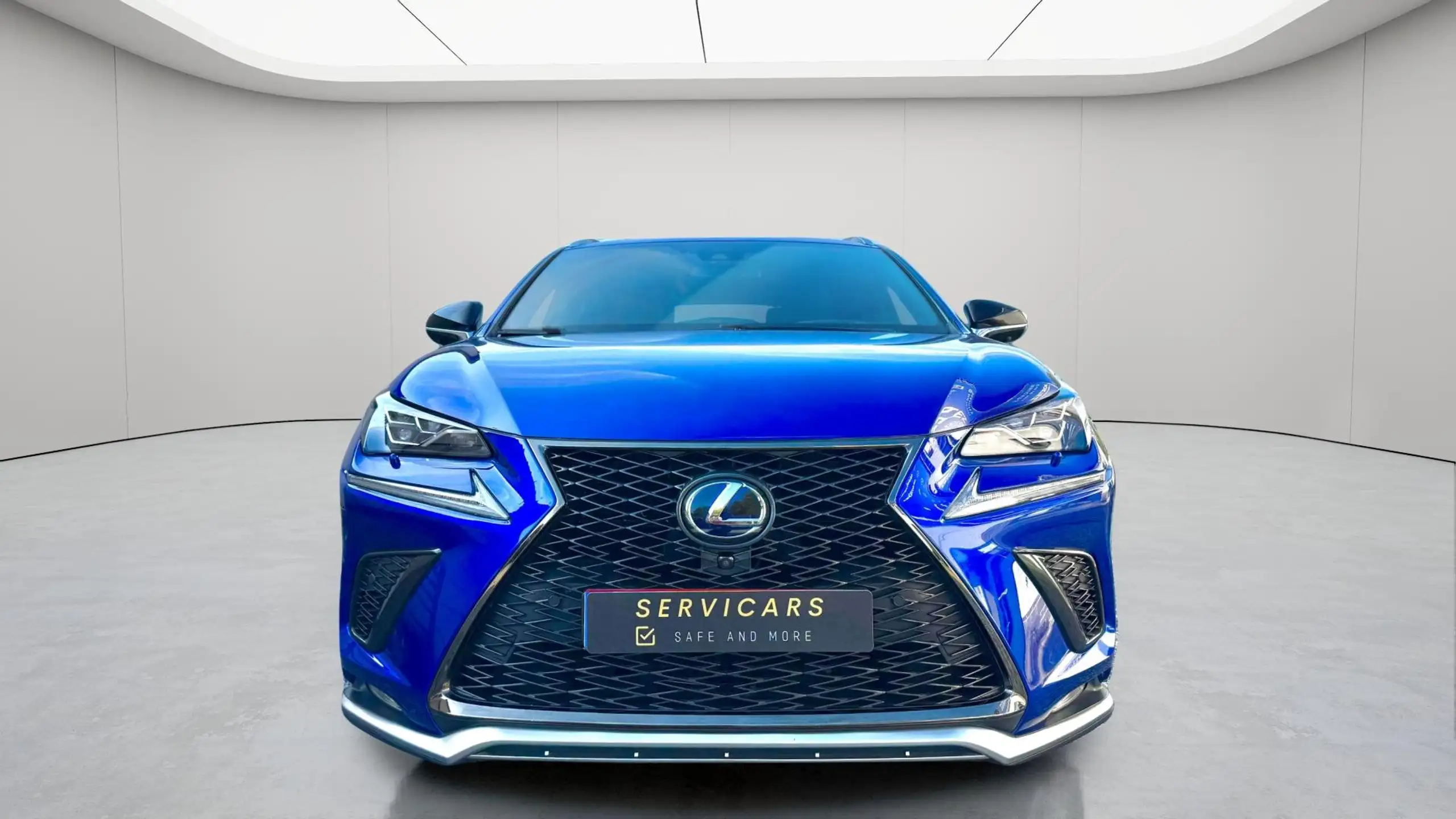 Lexus - NX 300h