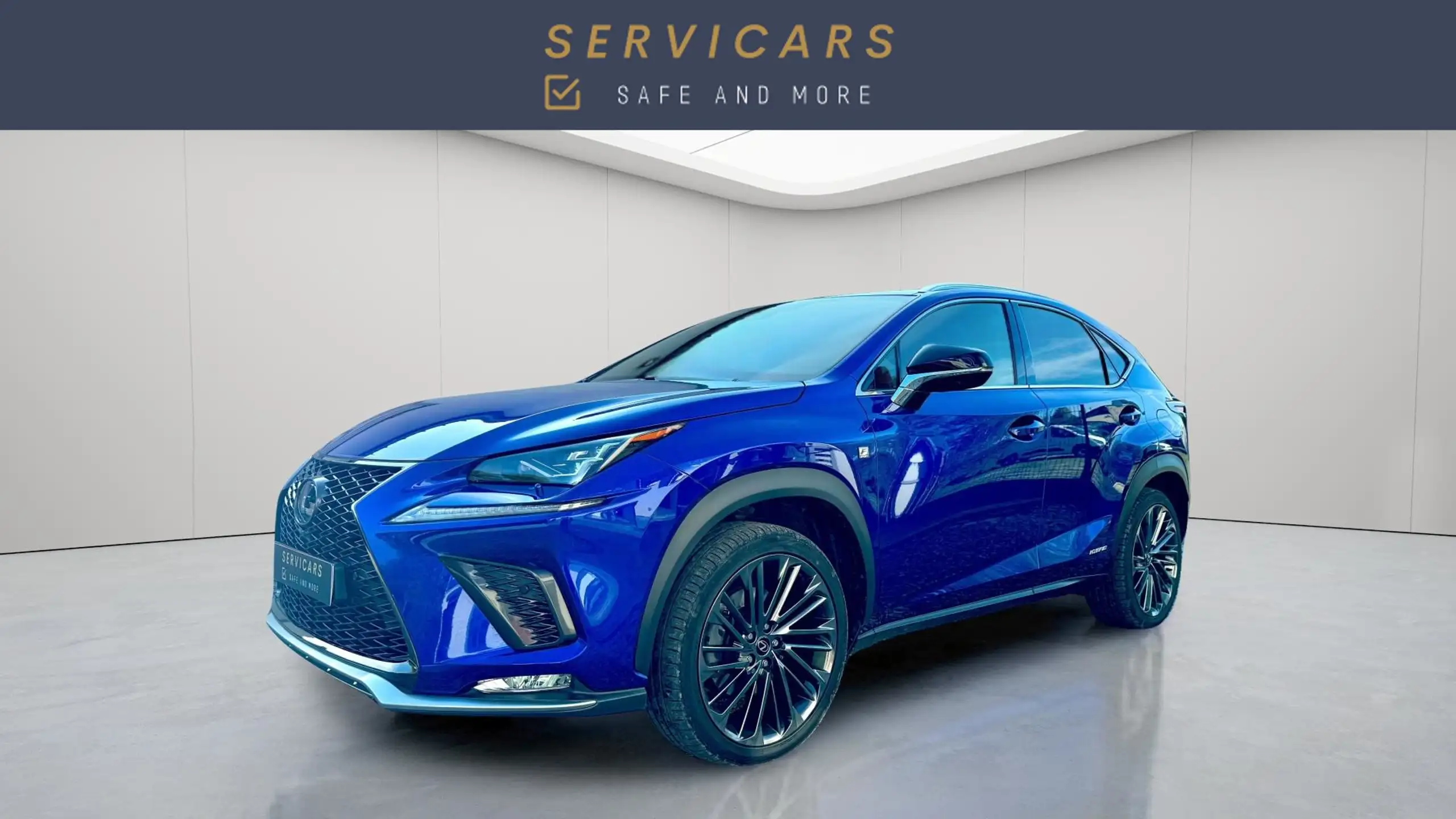 Lexus - NX 300h