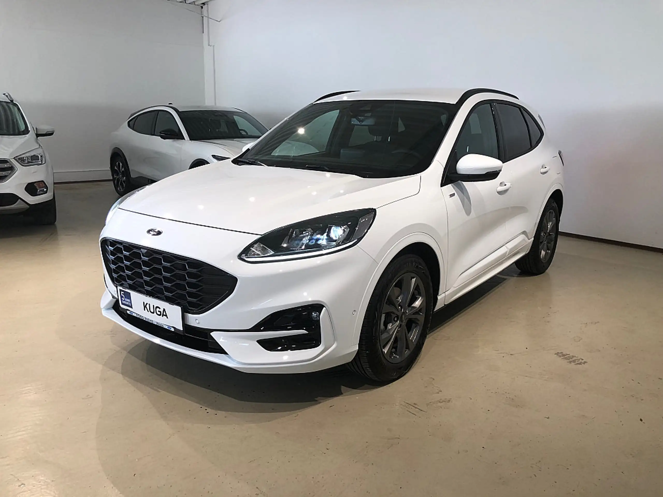 Ford - Kuga