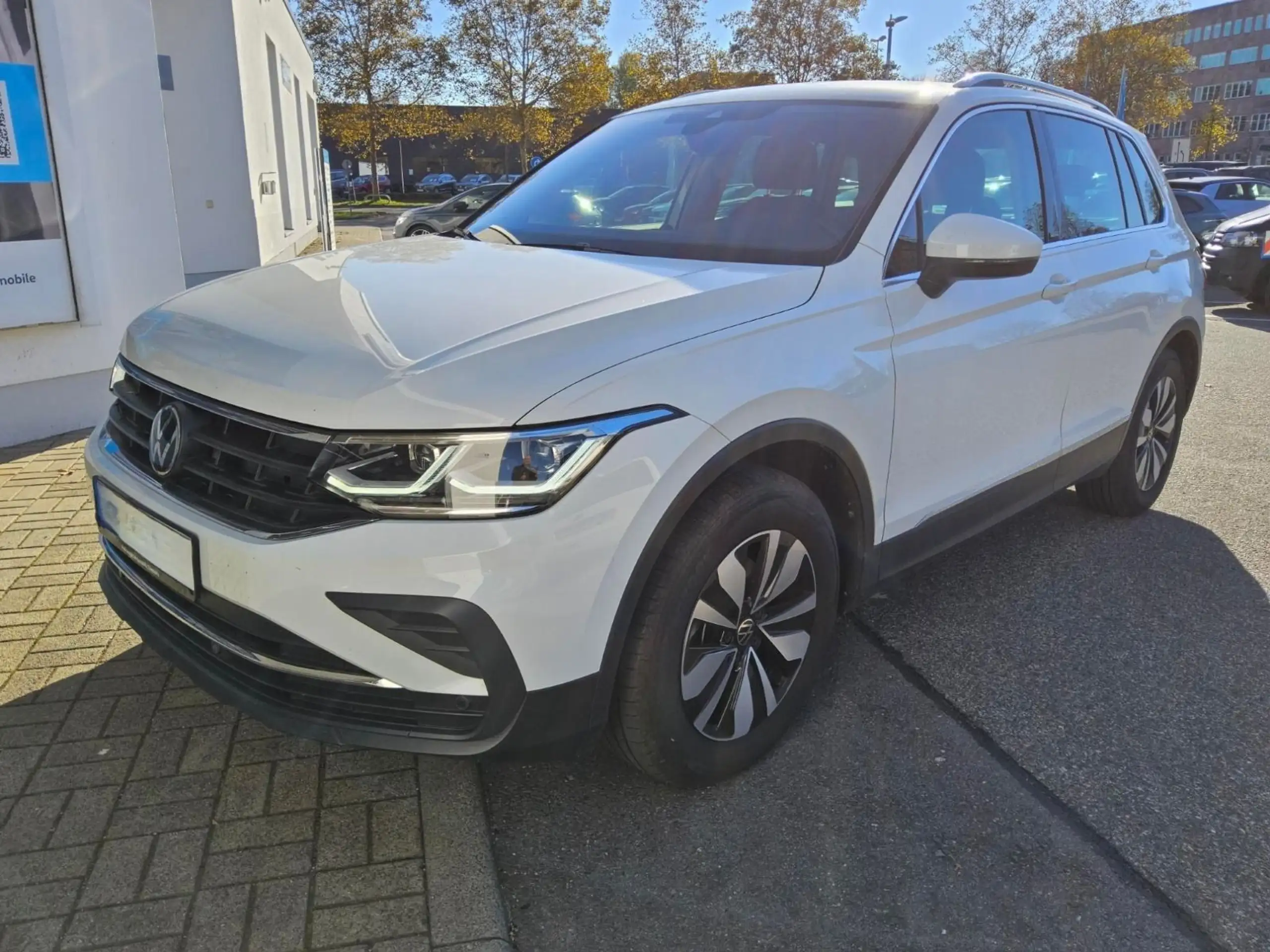 Volkswagen - Tiguan