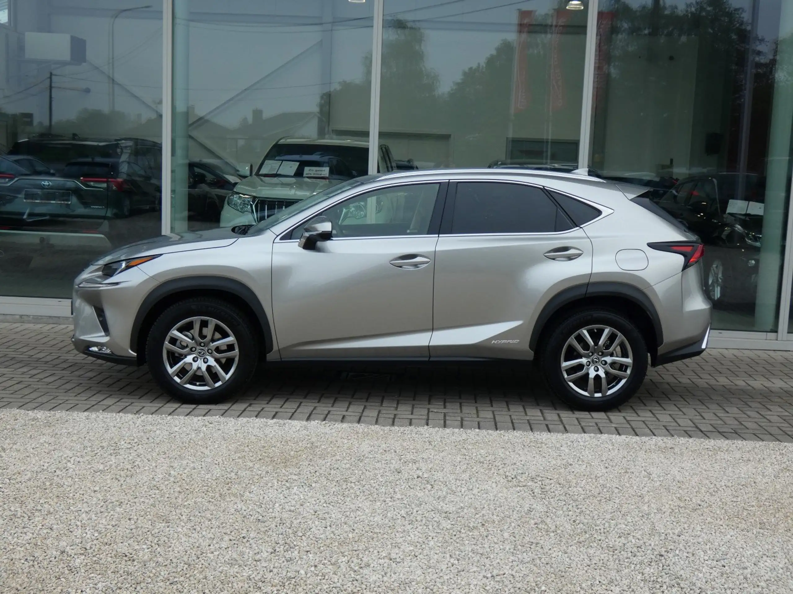 Lexus - NX 300h