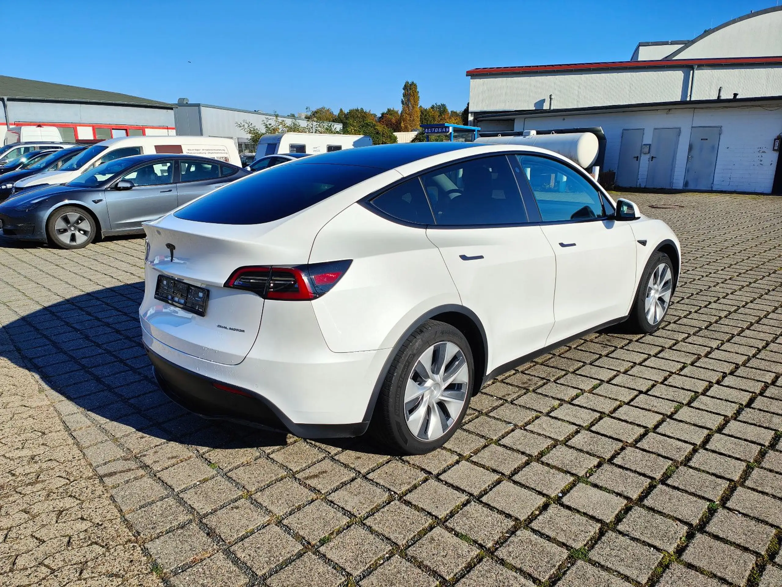 Tesla - Model Y