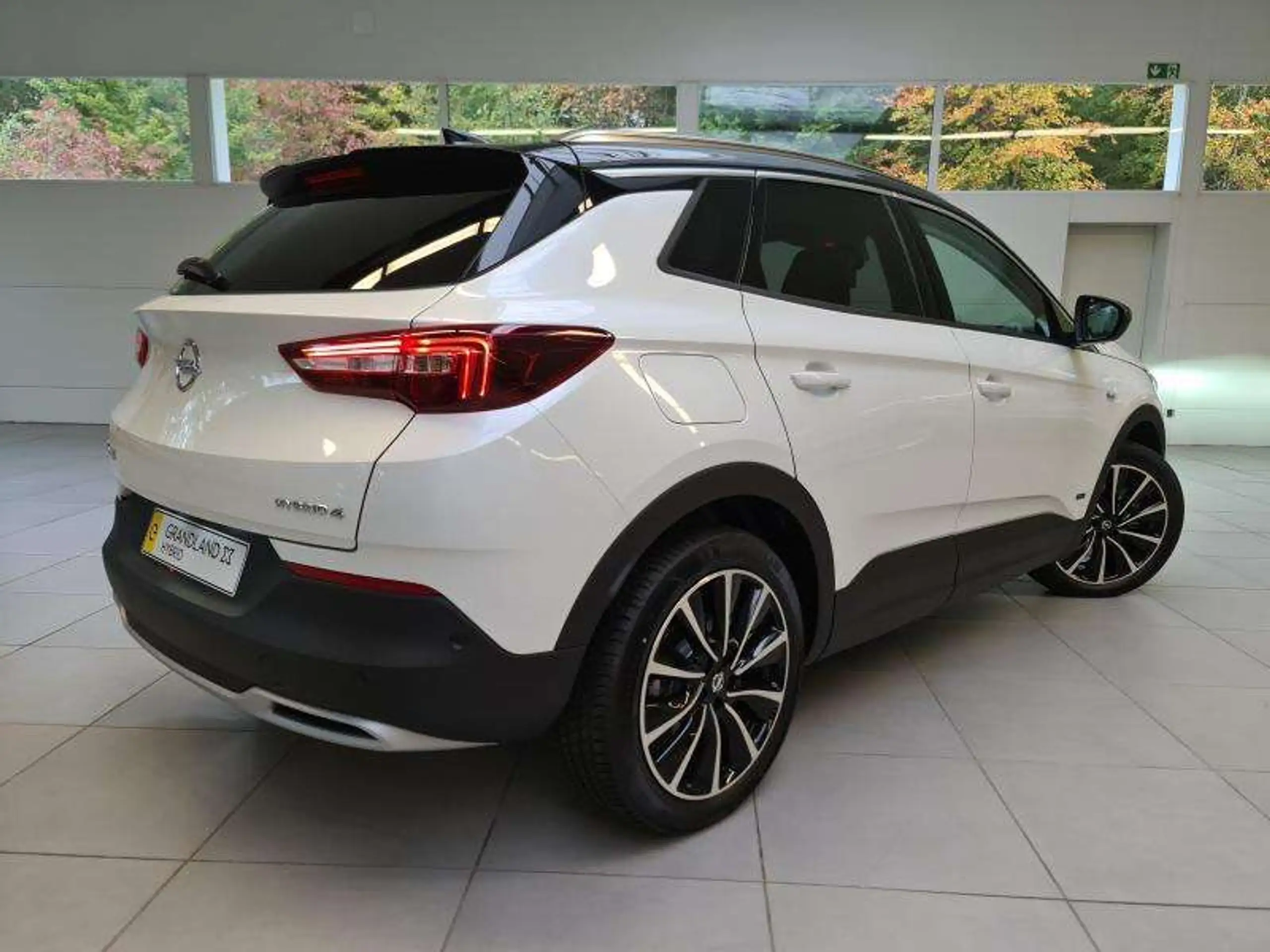 Opel - Grandland X