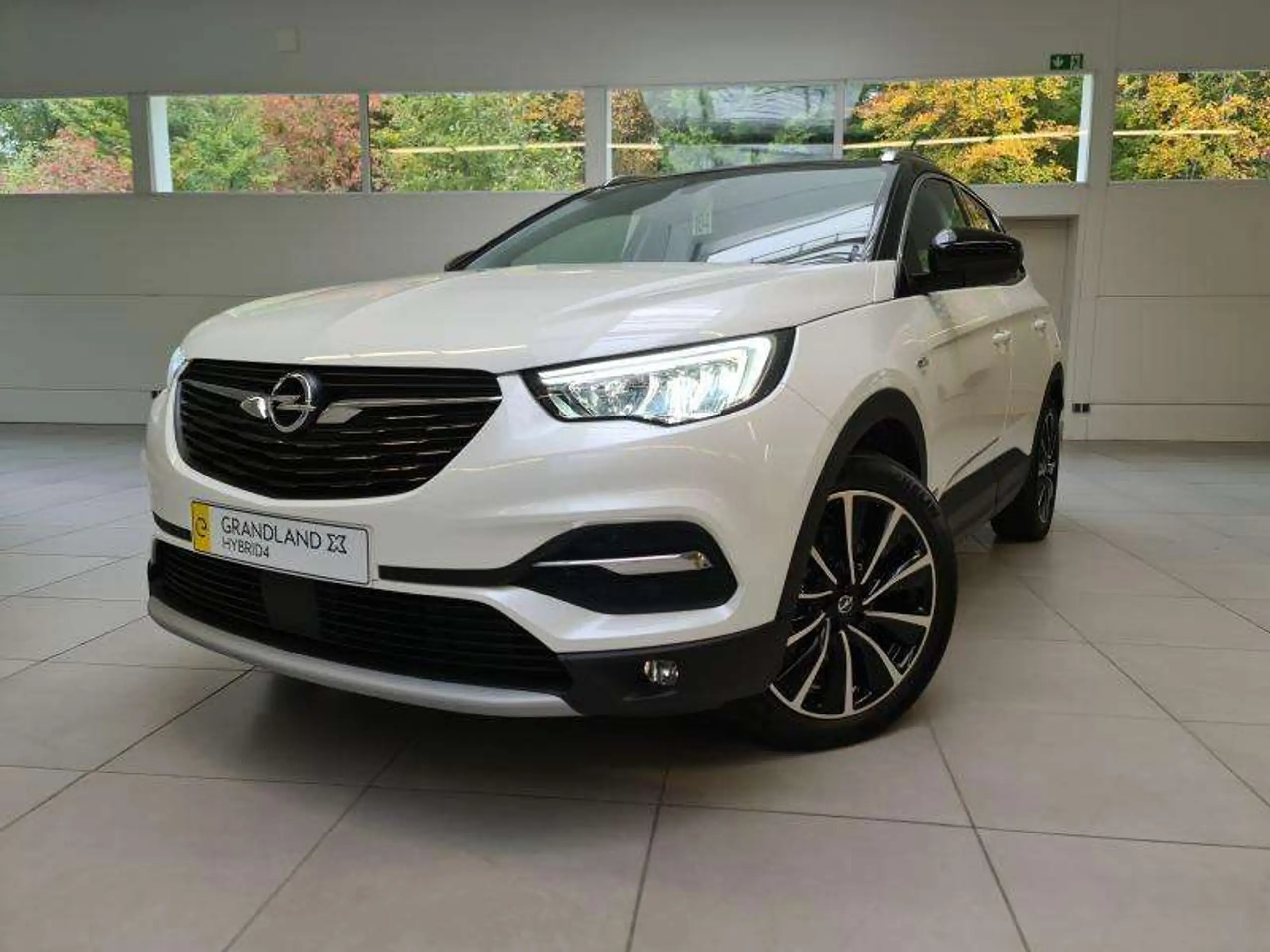 Opel - Grandland X