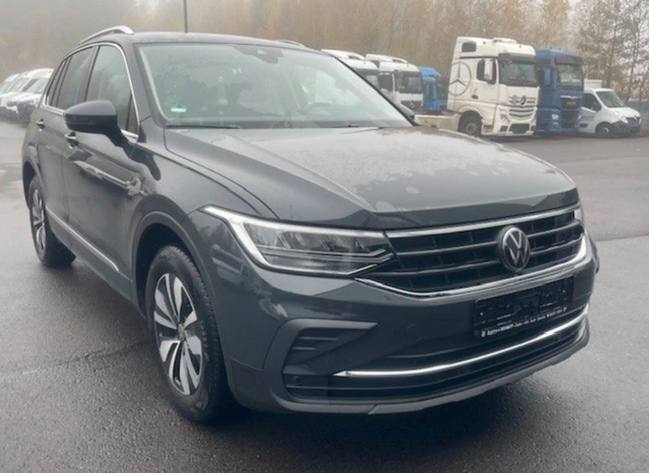 Volkswagen - Tiguan