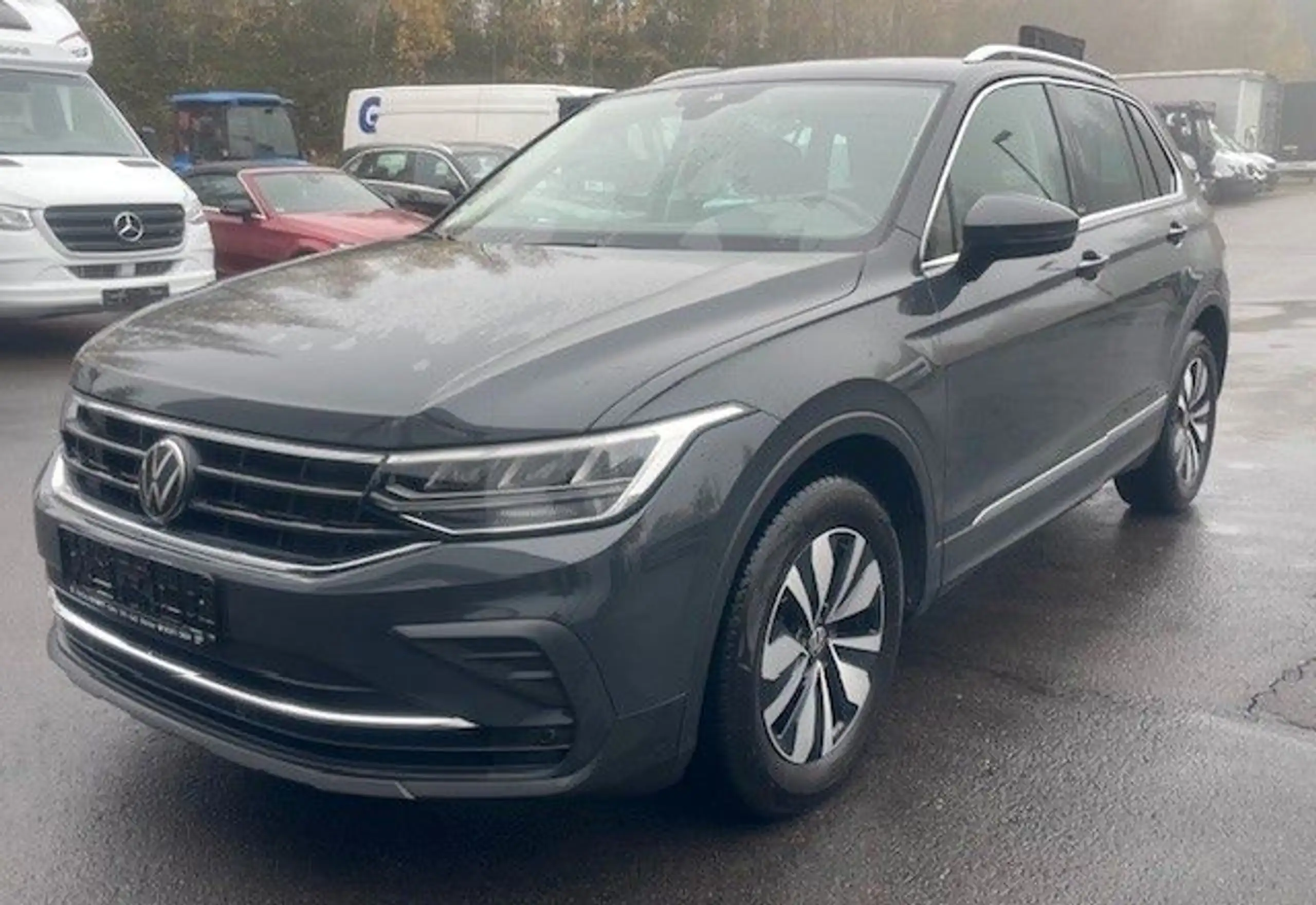 Volkswagen - Tiguan