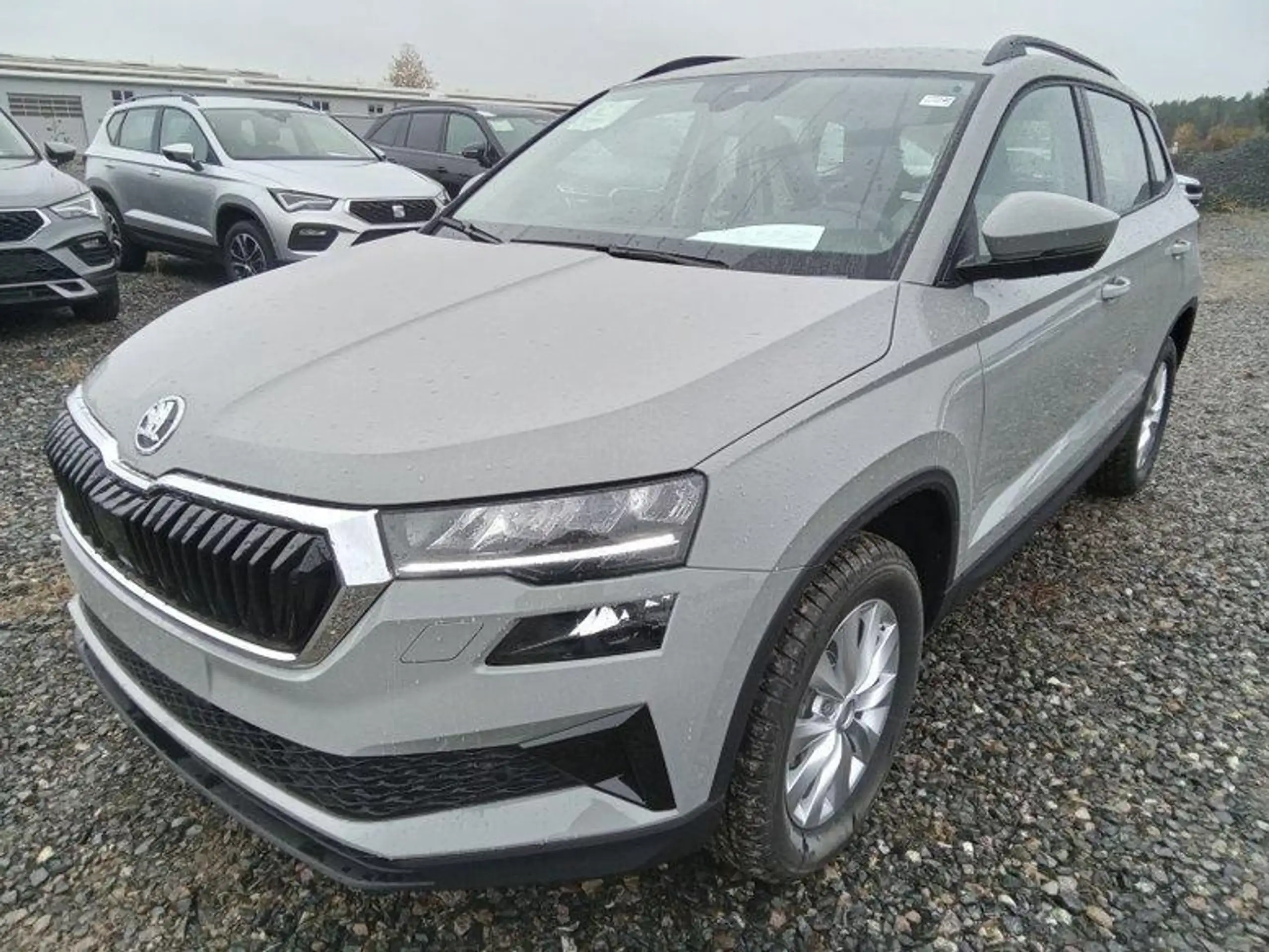 Skoda Karoq 2021