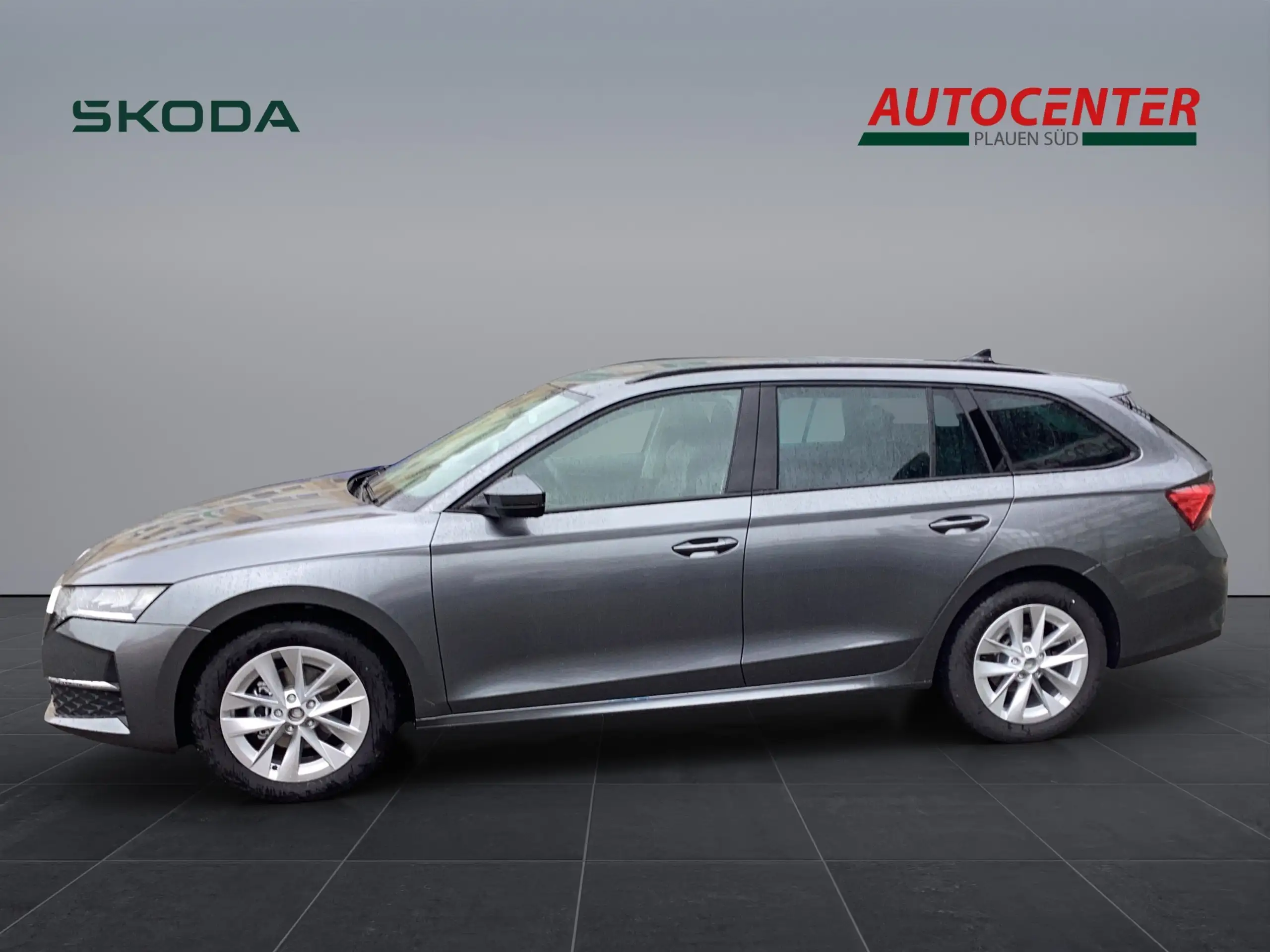 Skoda - Octavia