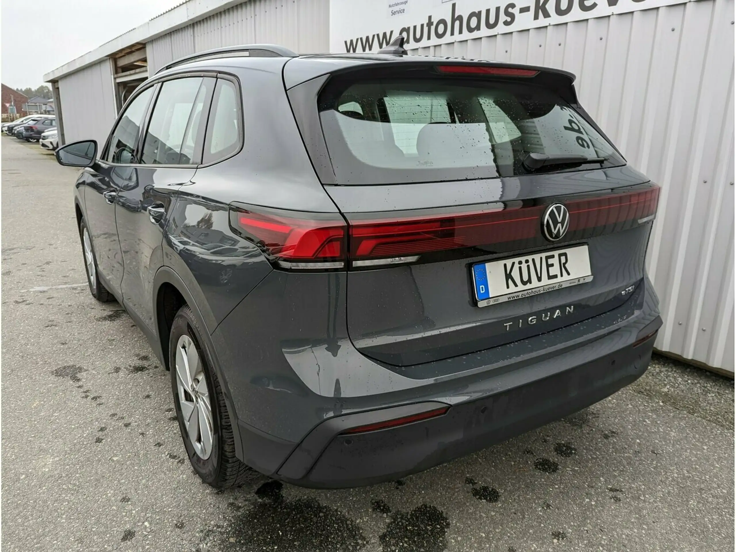 Volkswagen - Tiguan