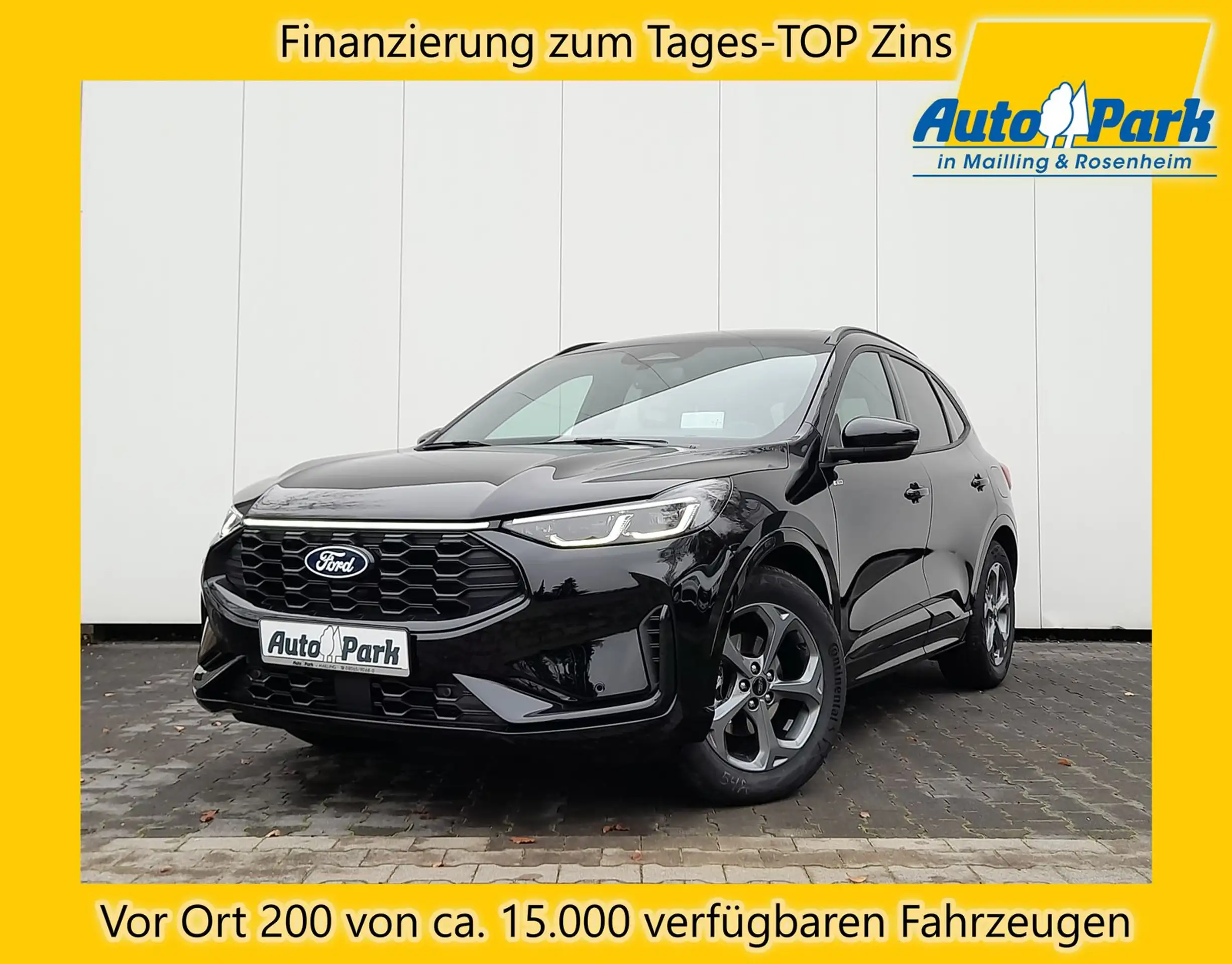 Ford - Kuga