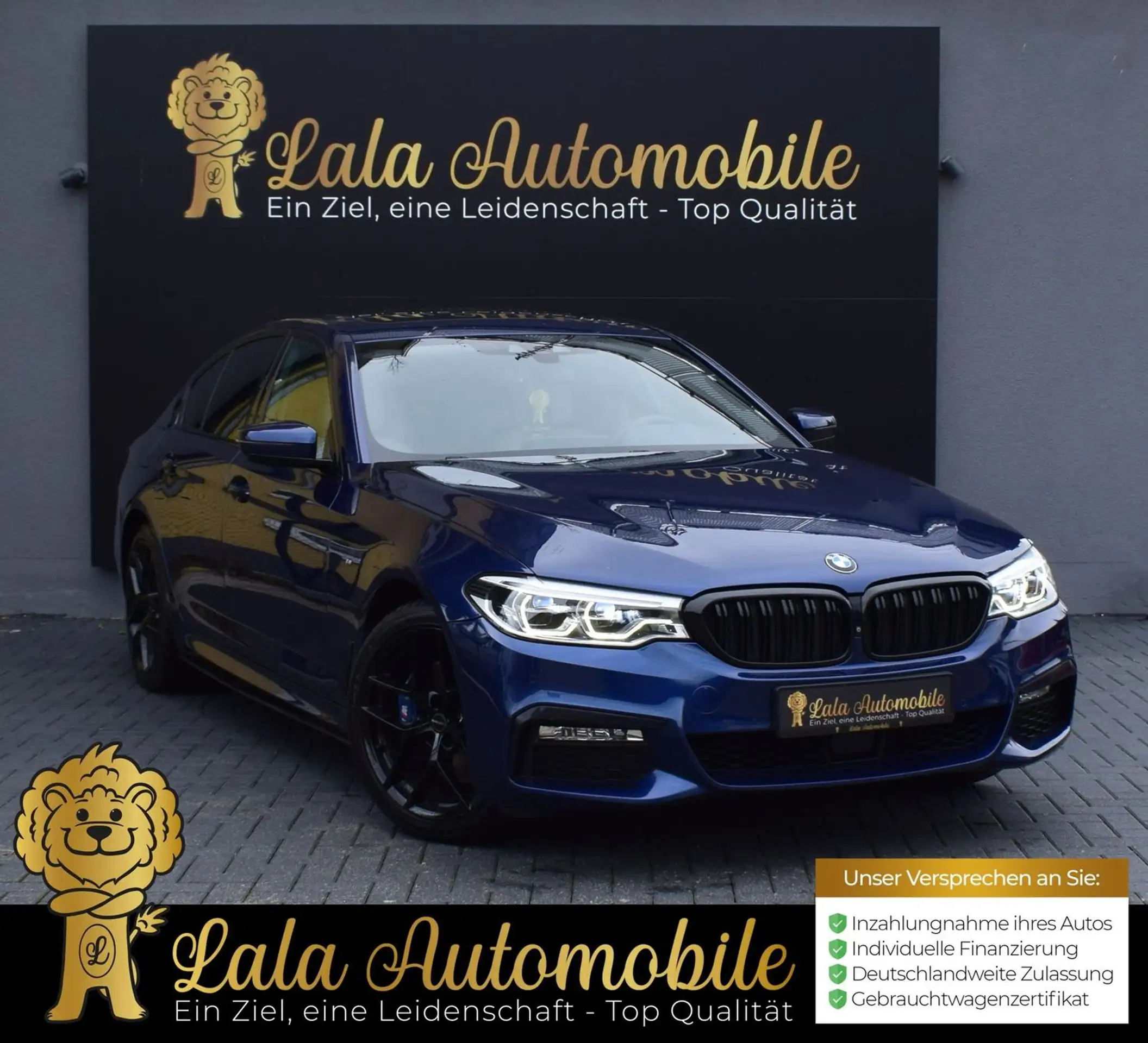 BMW 530 2017