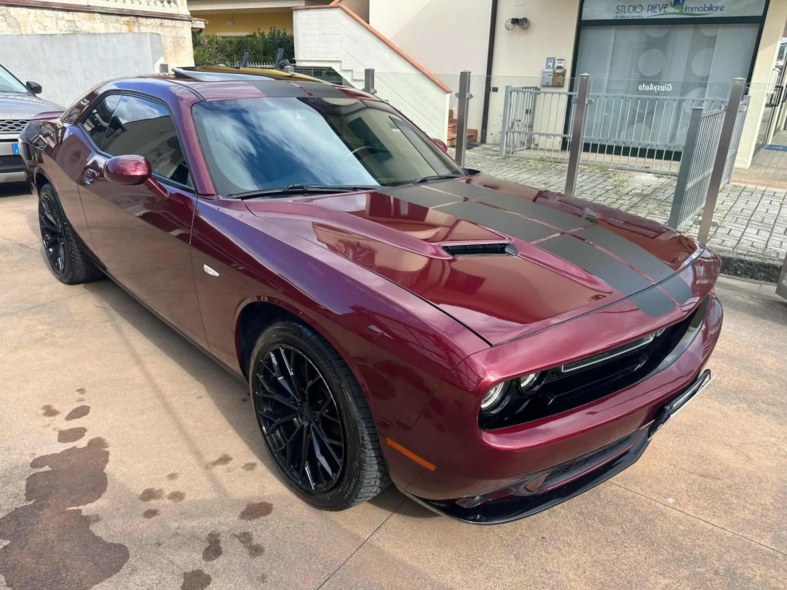 Dodge - Challenger