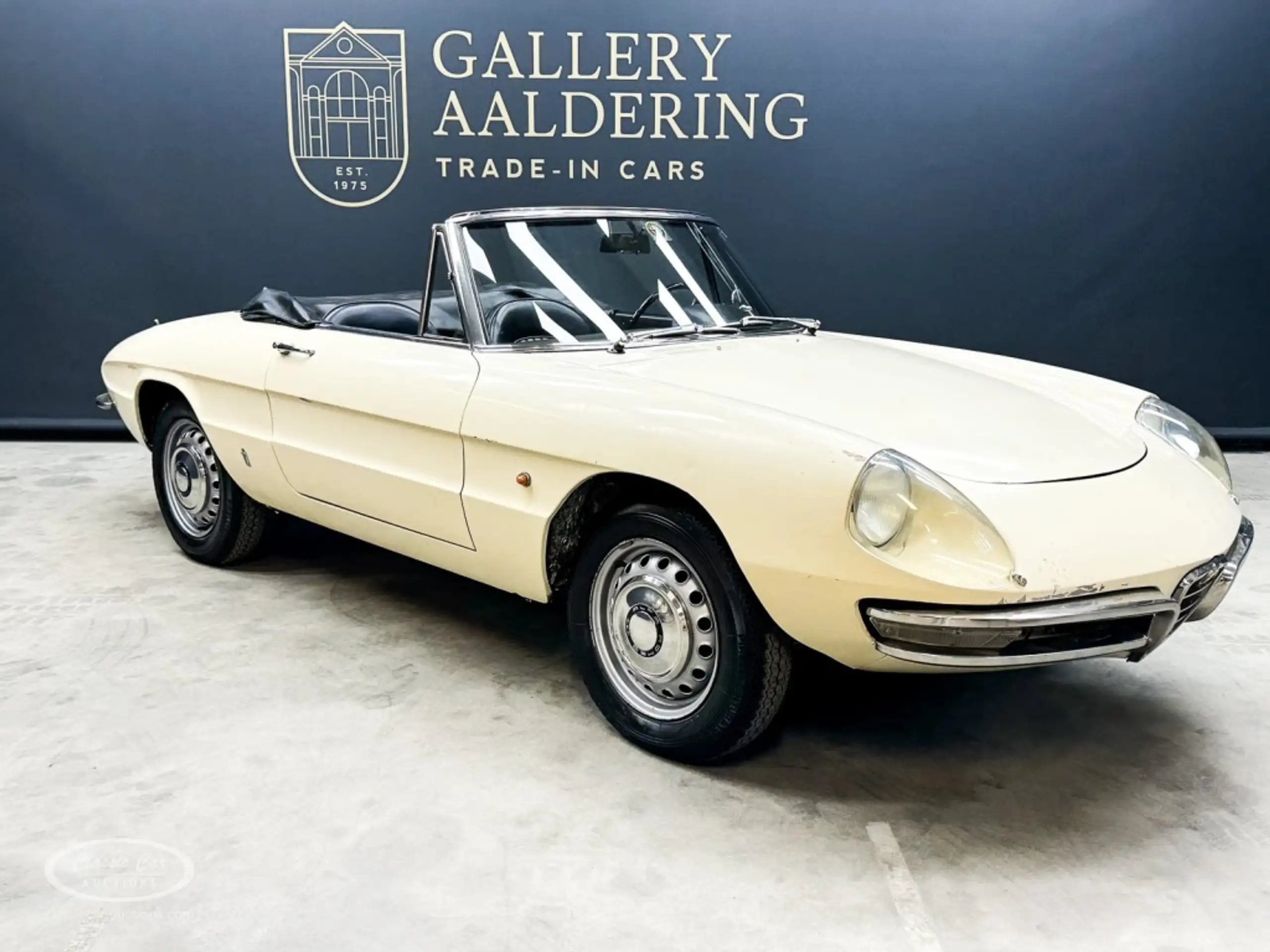 Alfa Romeo - Spider