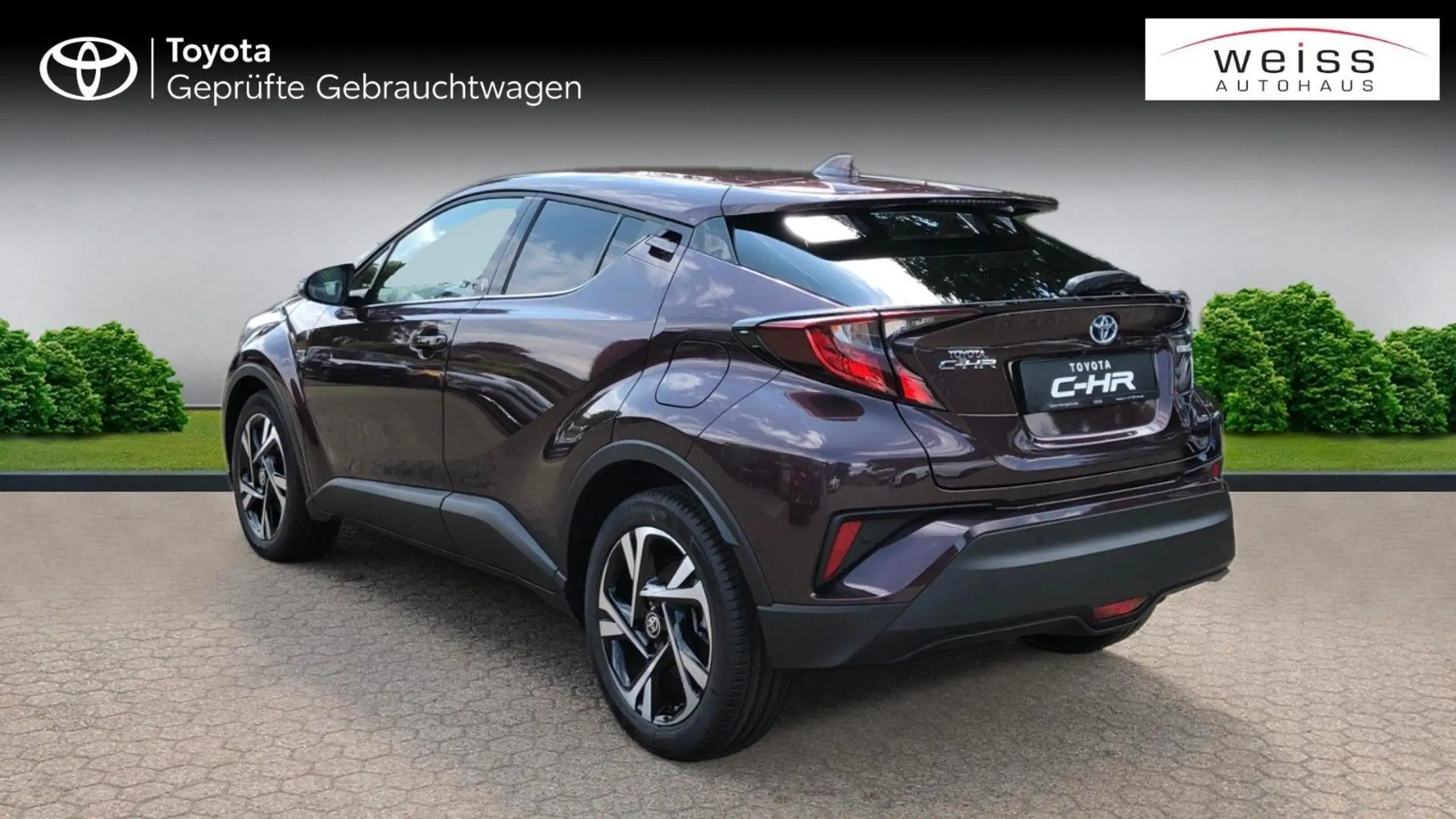 Toyota - C-HR