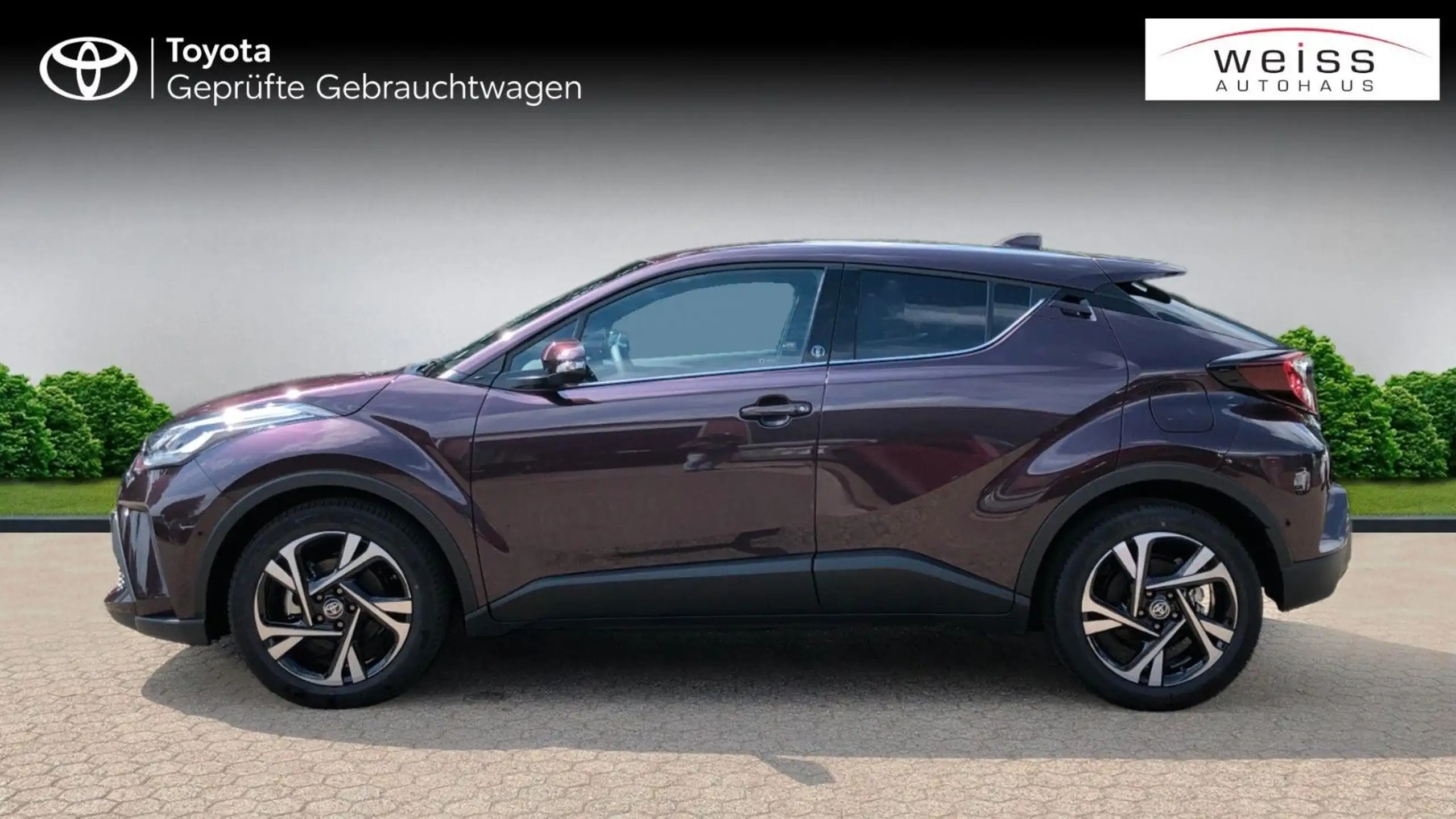 Toyota - C-HR