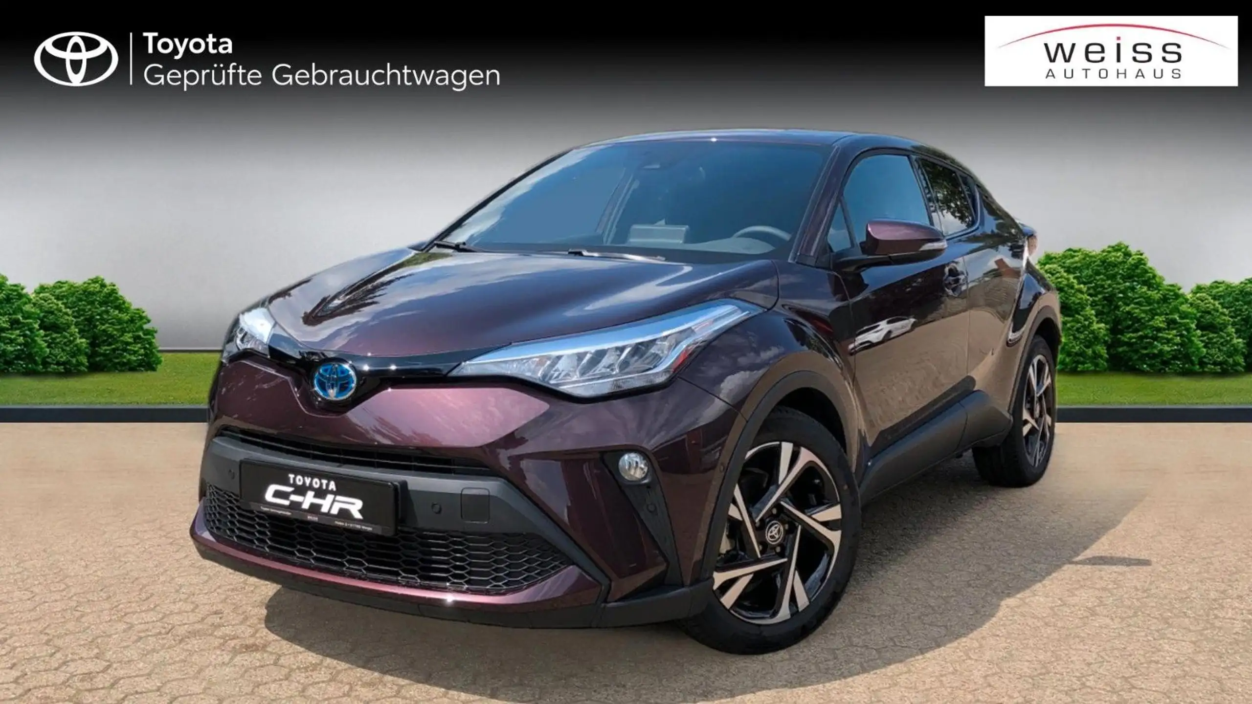 Toyota - C-HR