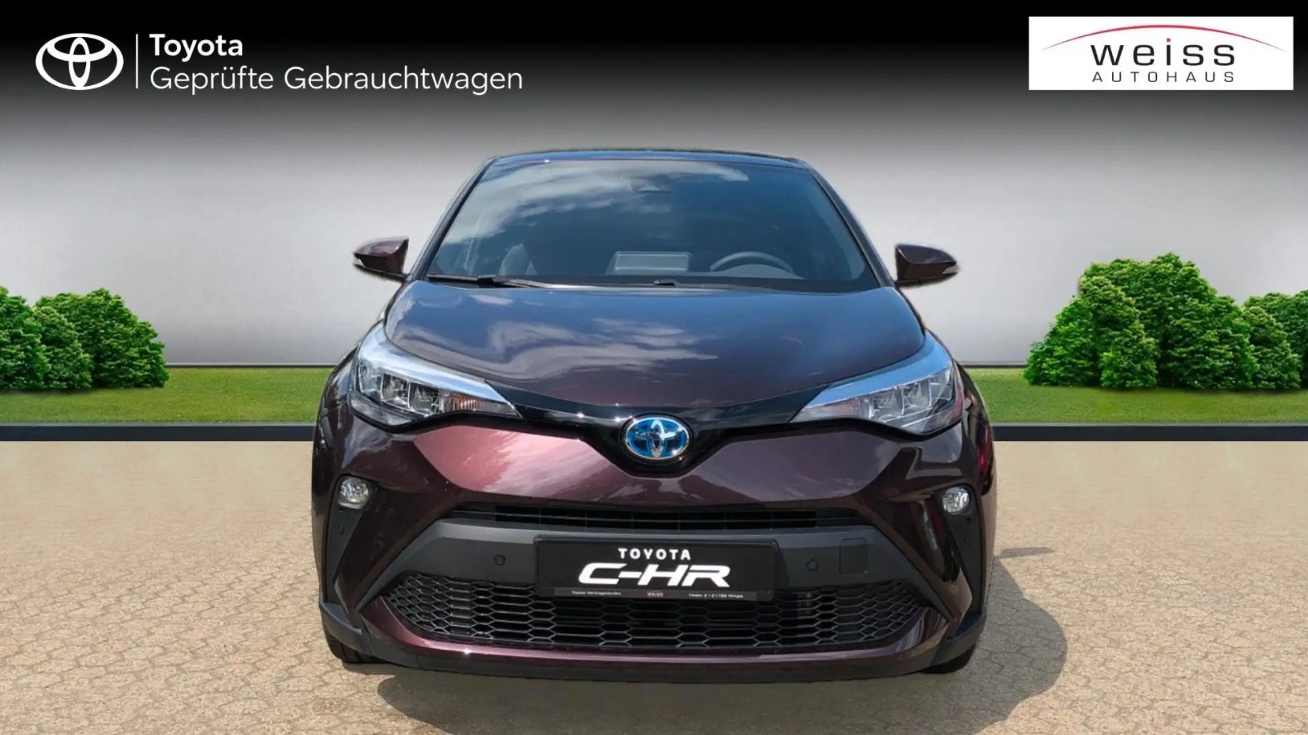 Toyota - C-HR