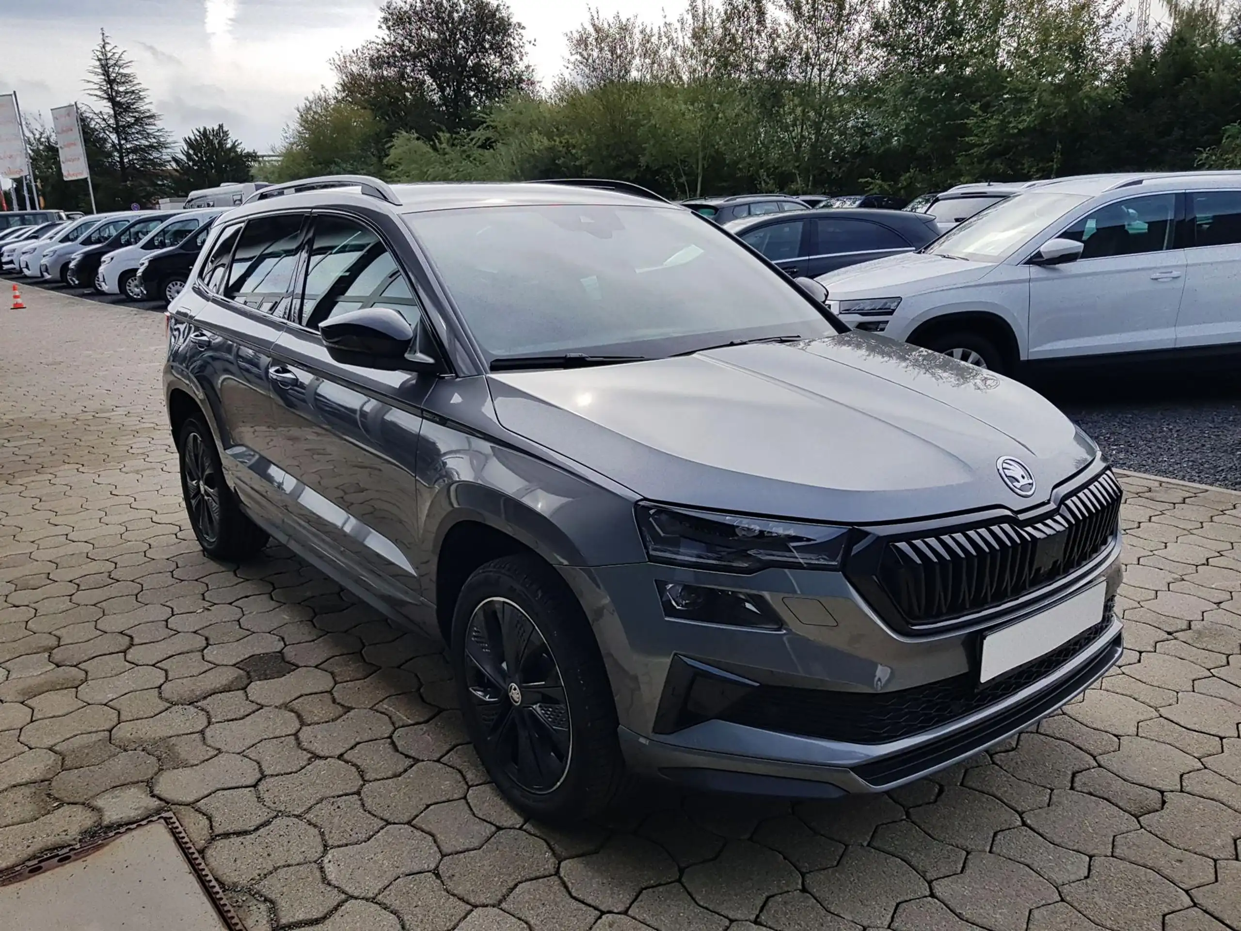 Skoda - Karoq