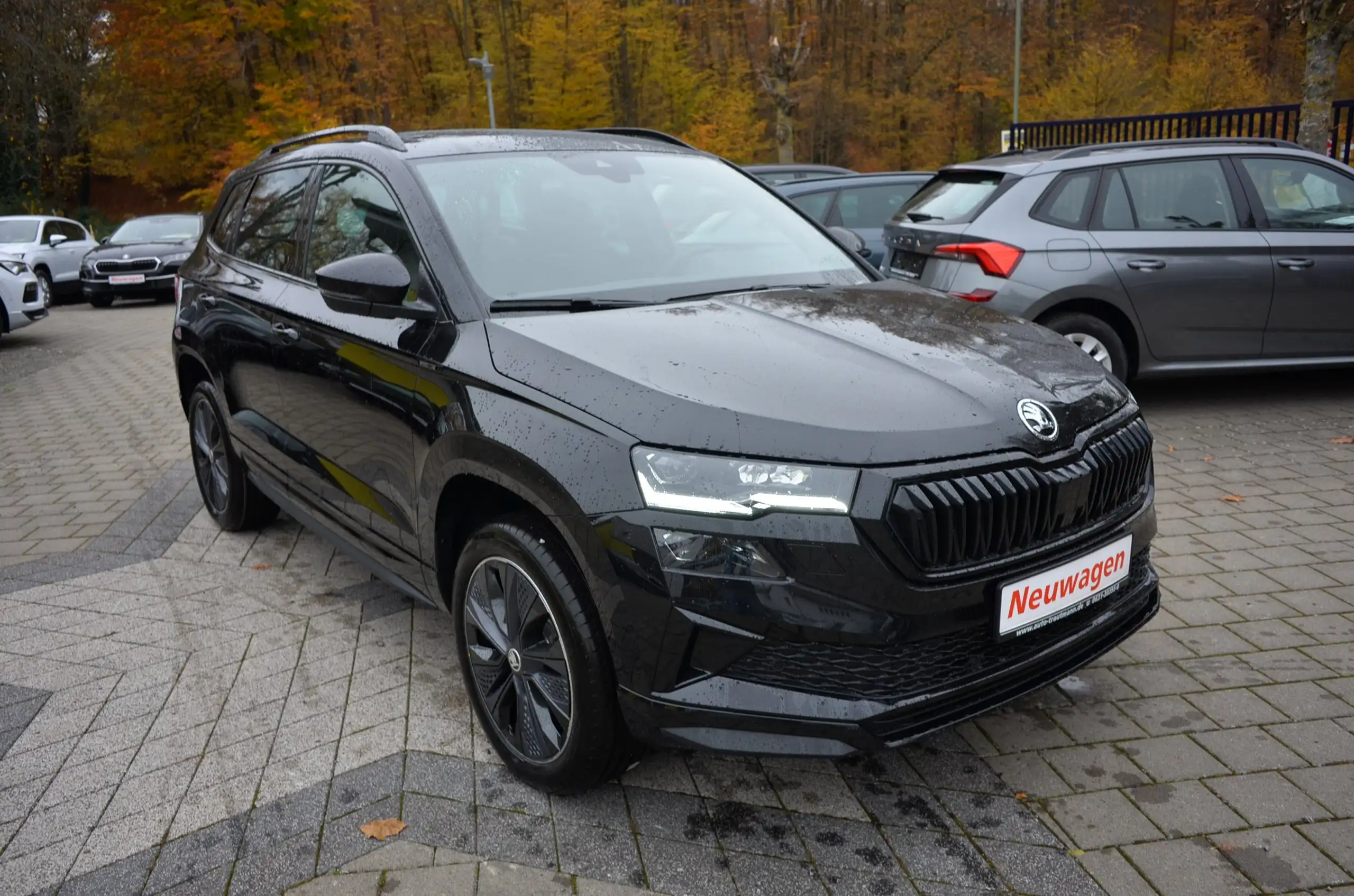 Skoda - Karoq