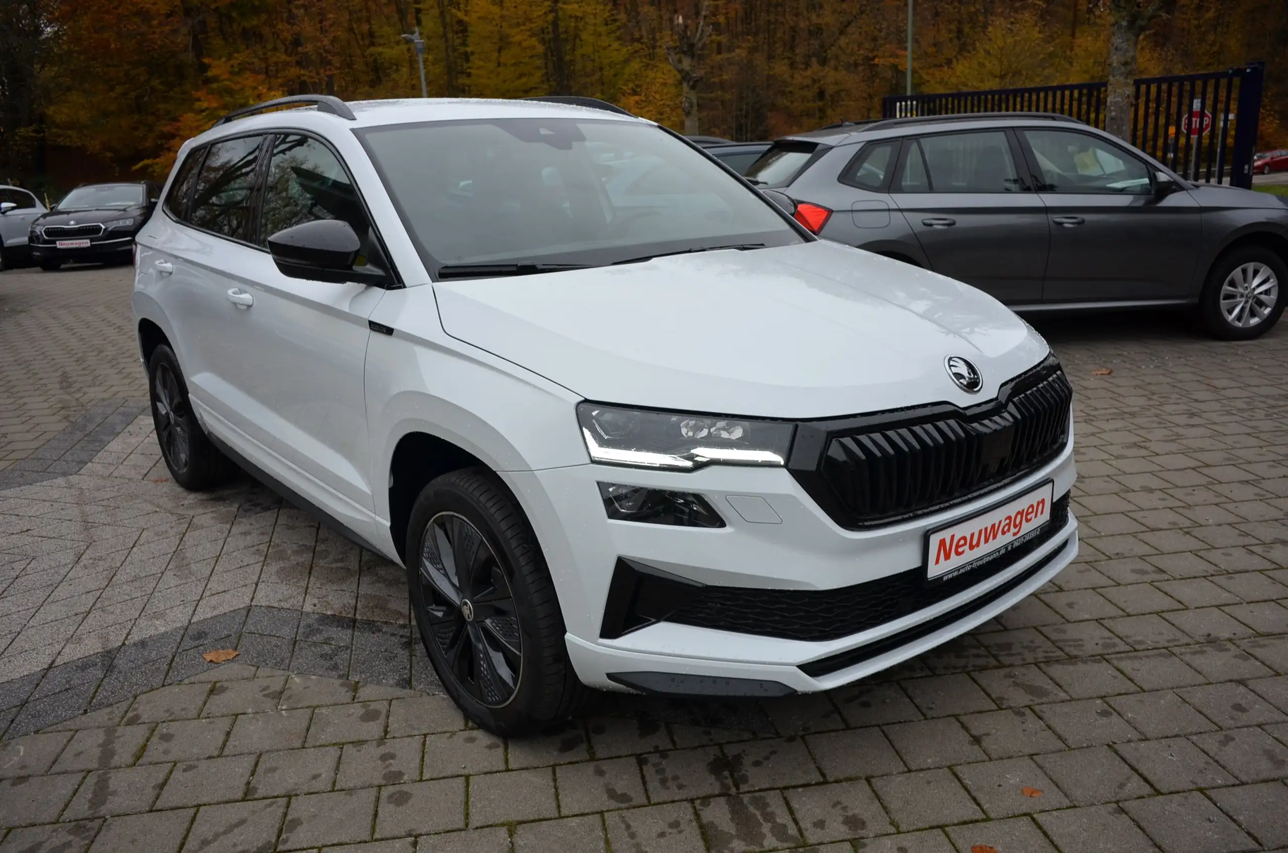 Skoda - Karoq