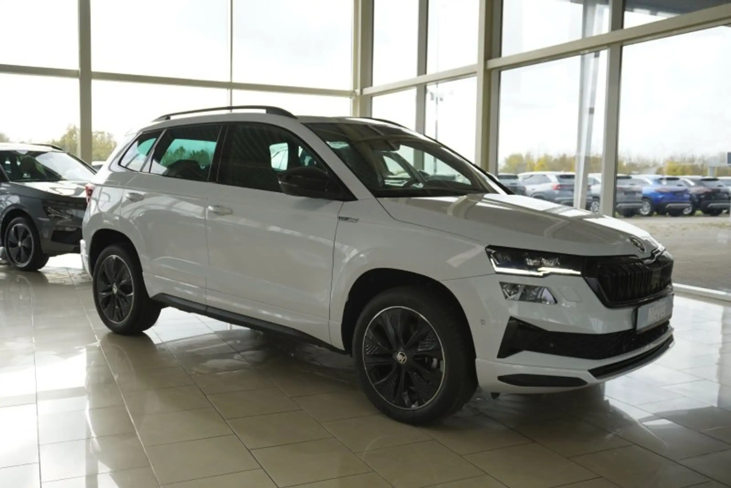 Skoda Karoq 2024